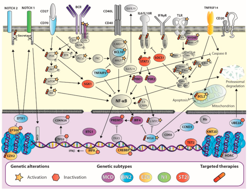 Cancers 13 02893 g001