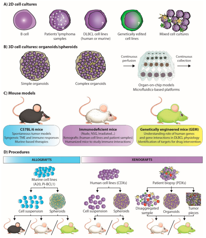 Cancers 13 02893 g002