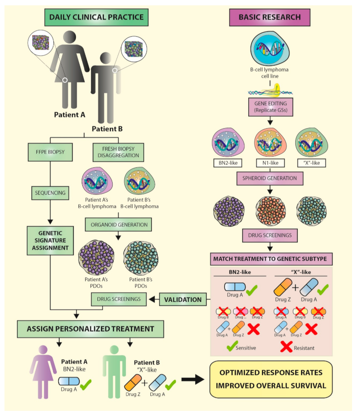 Cancers 13 02893 g003