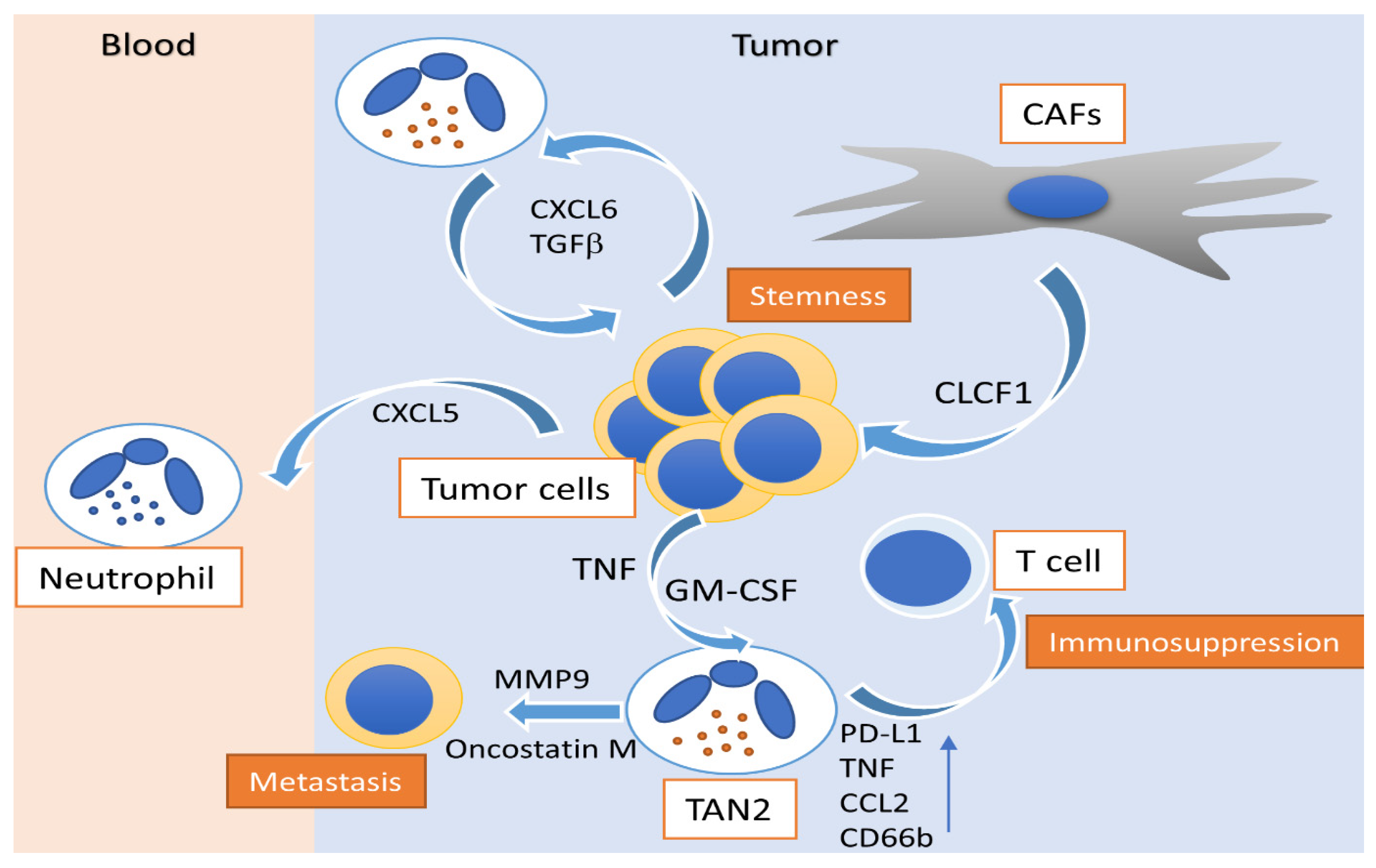 Cancers 13 02899 g001