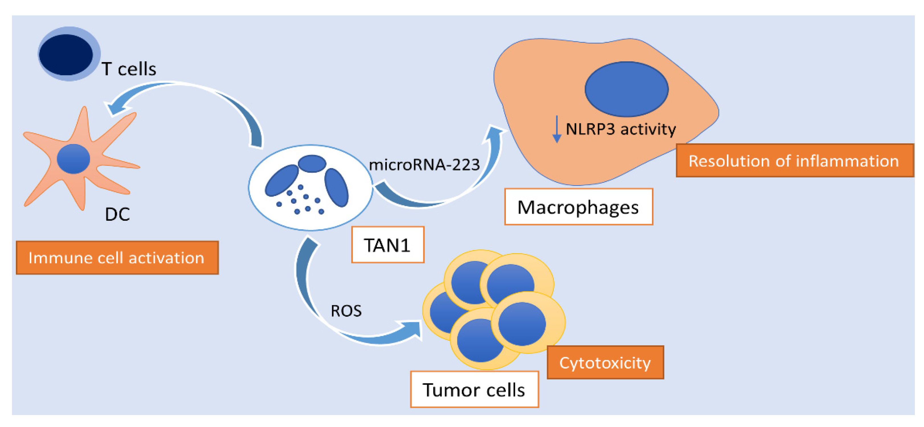 Cancers 13 02899 g002