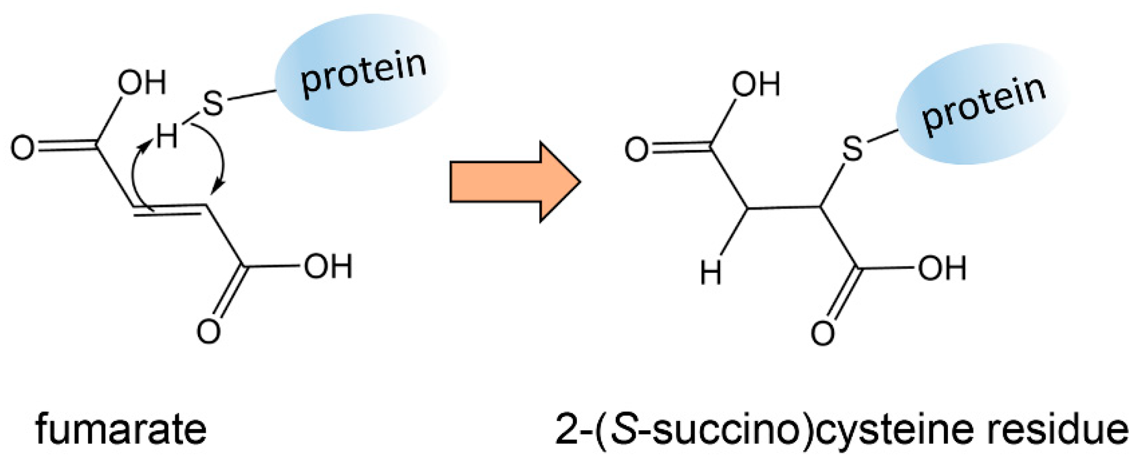 Cancers 13 02900 g002