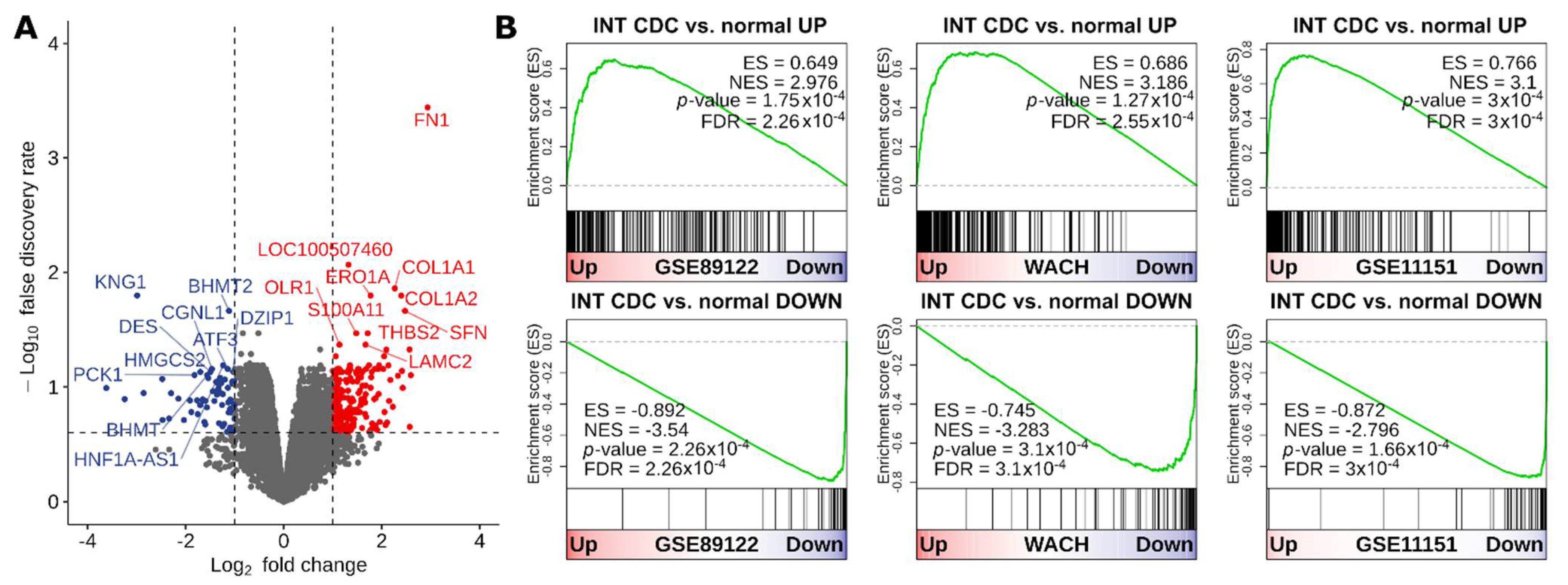 Cancers 13 02903 g001