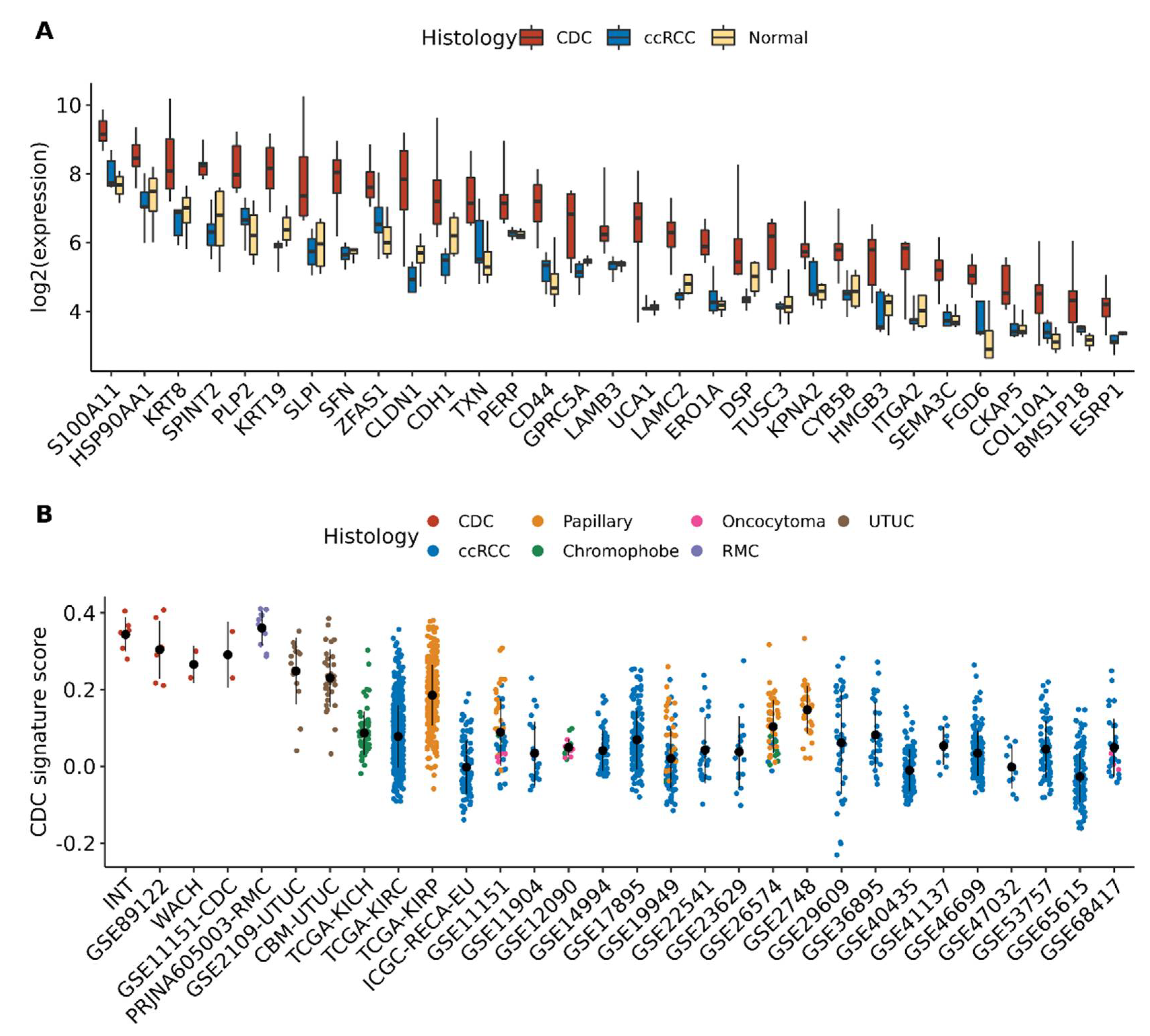 Cancers 13 02903 g003