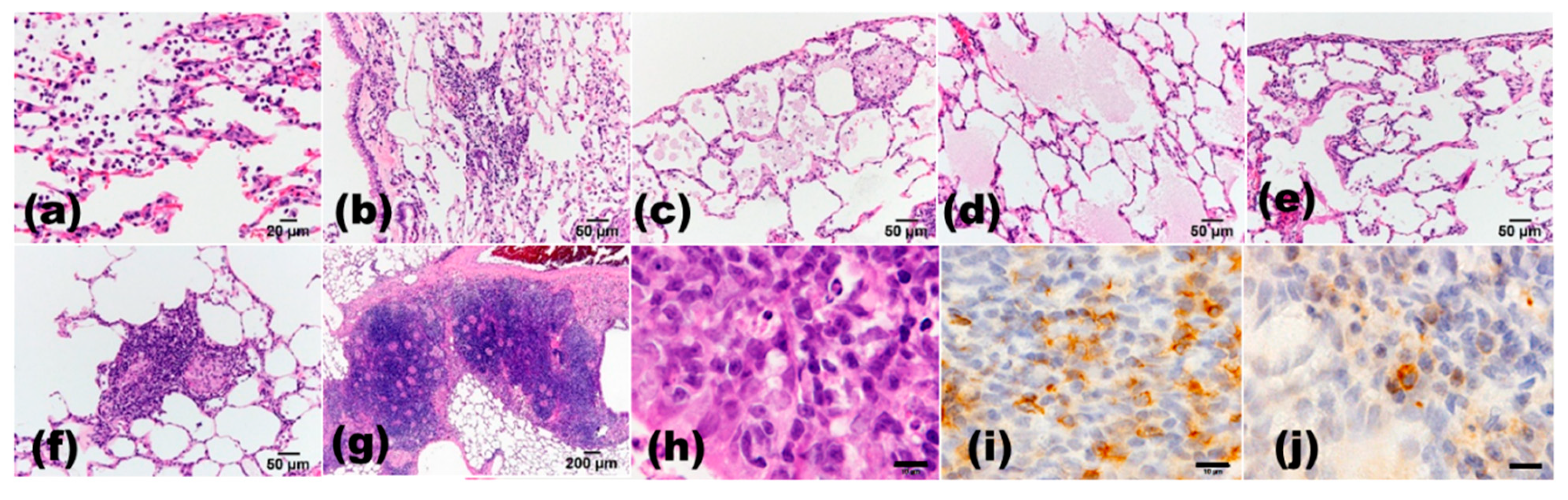 Cancers 13 02910 g003