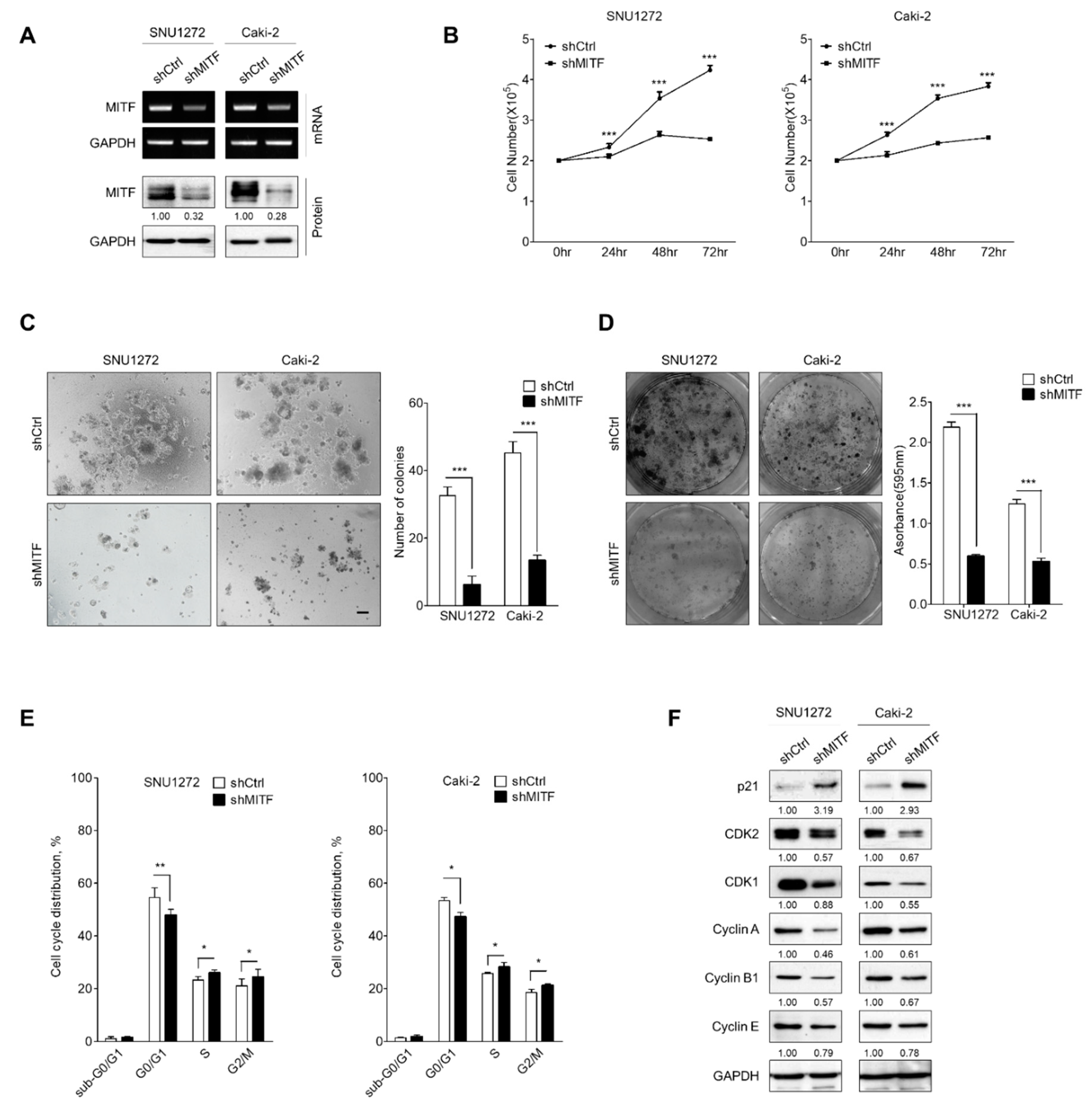 Cancers 13 02920 g001