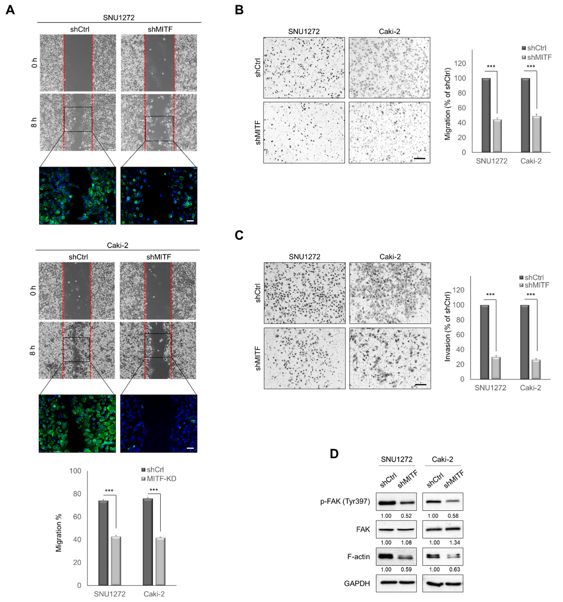 Cancers 13 02920 g002