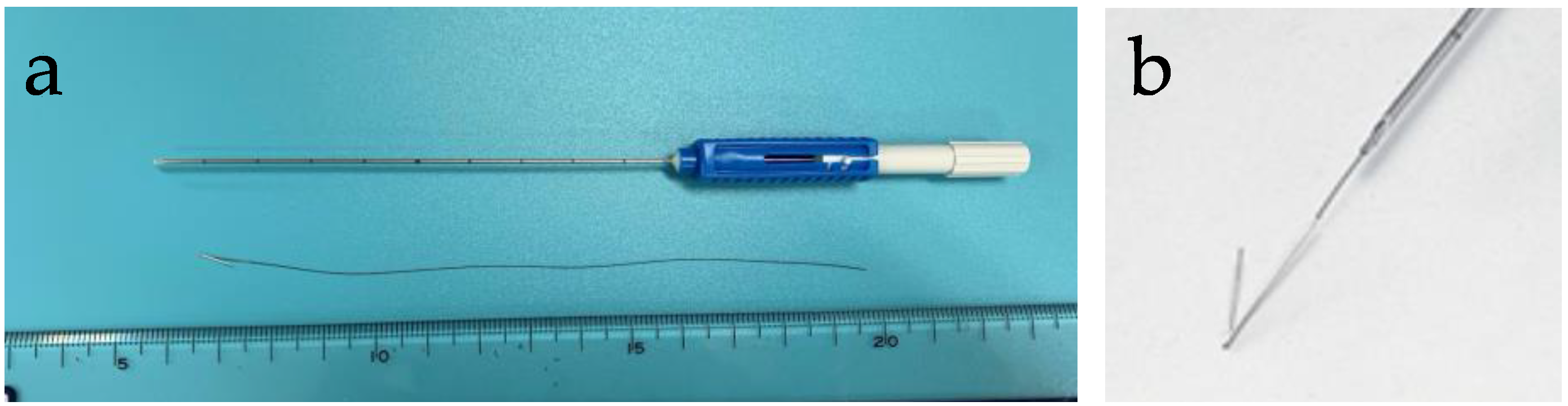 Cancers 13 02923 g002