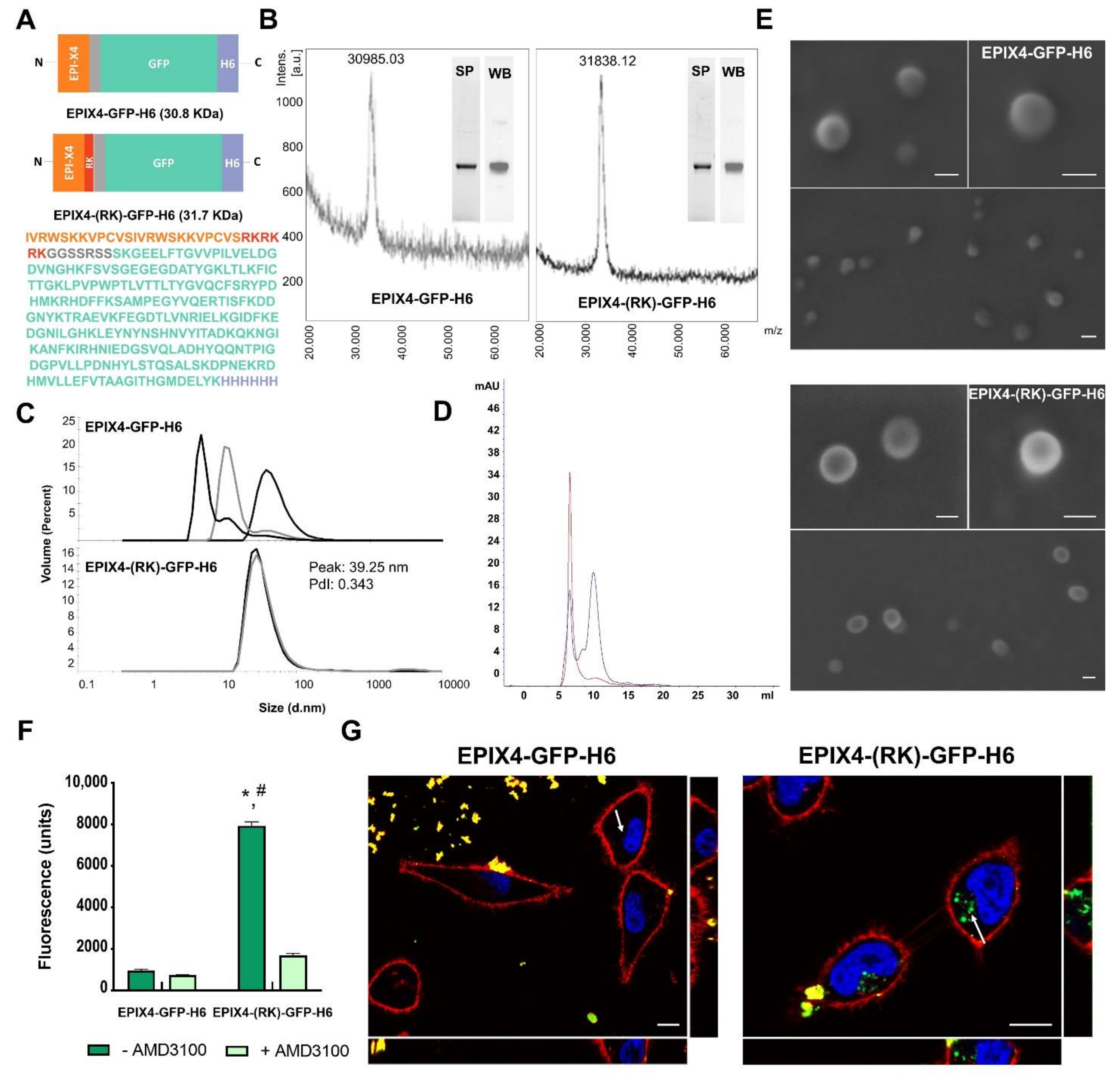 Cancers 13 02929 g001 Cancers 13 02929 g001