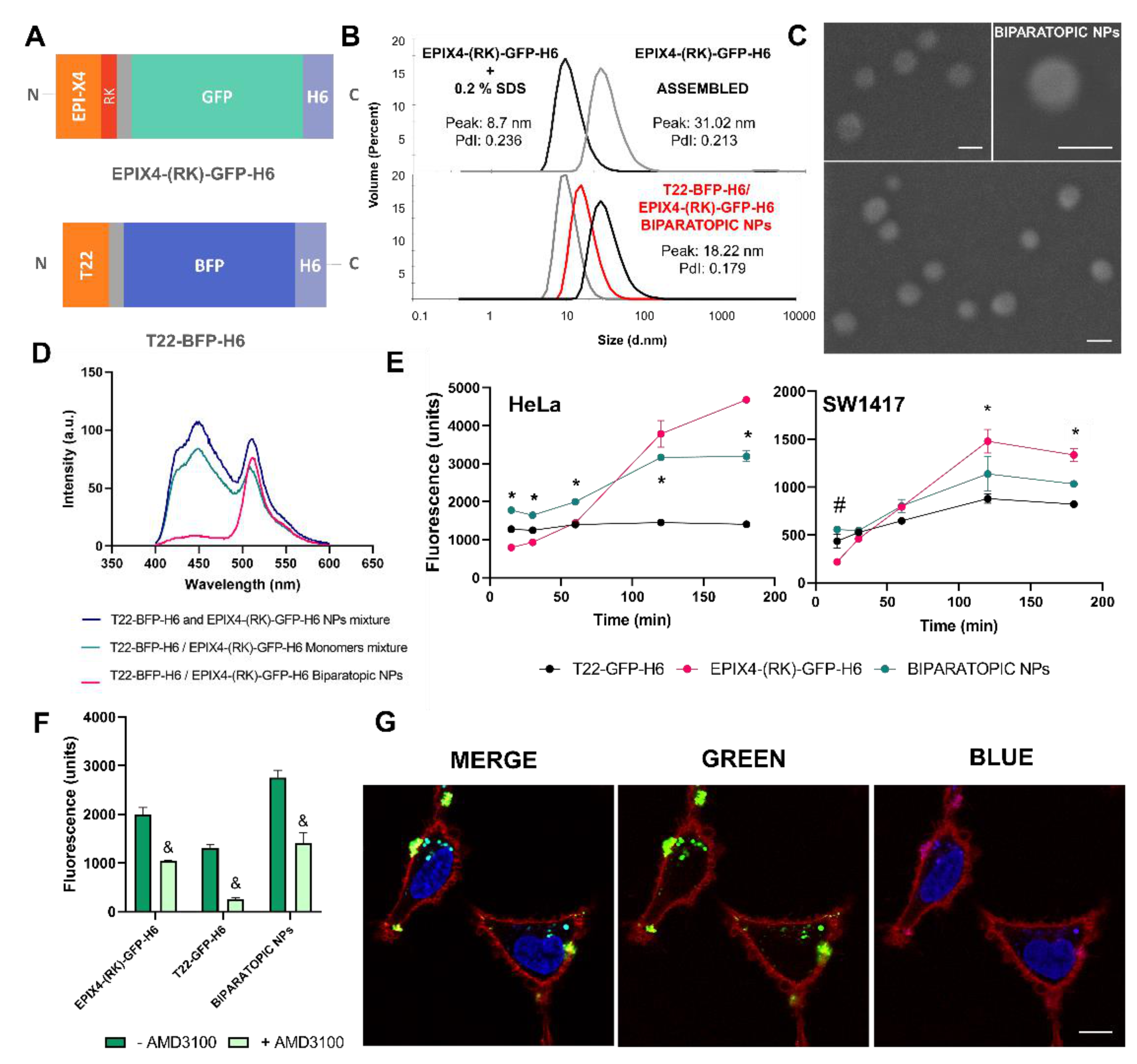 Cancers 13 02929 g002 Cancers 13 02929 g002