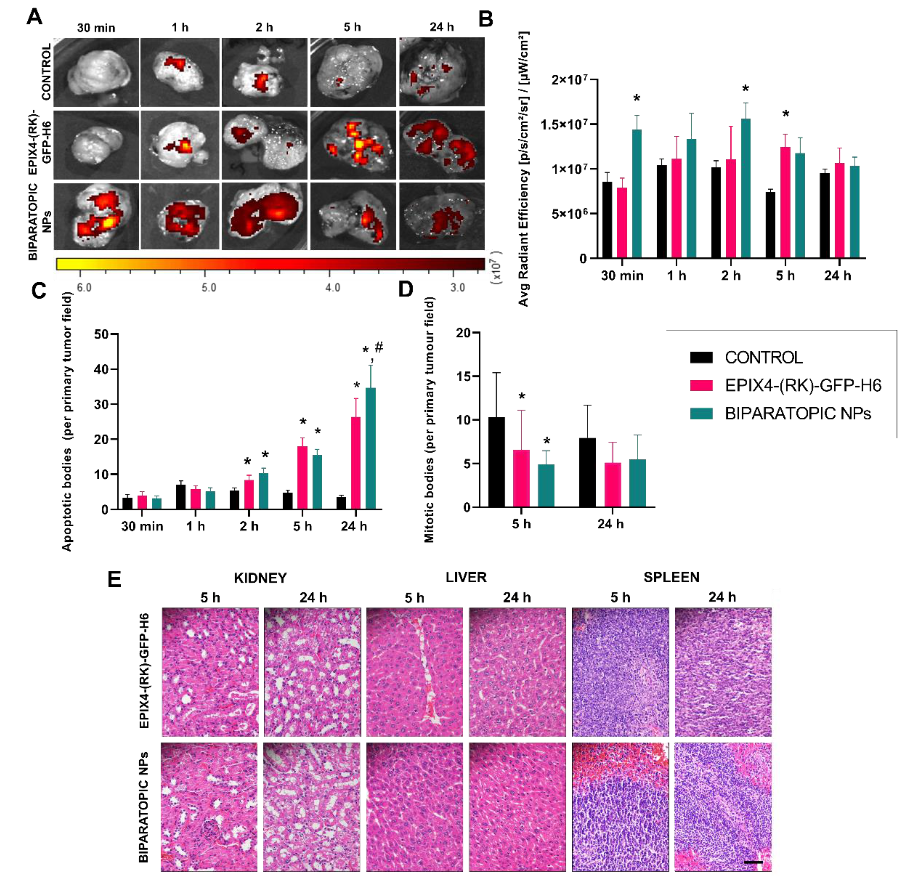 Cancers 13 02929 g003 Cancers 13 02929 g003