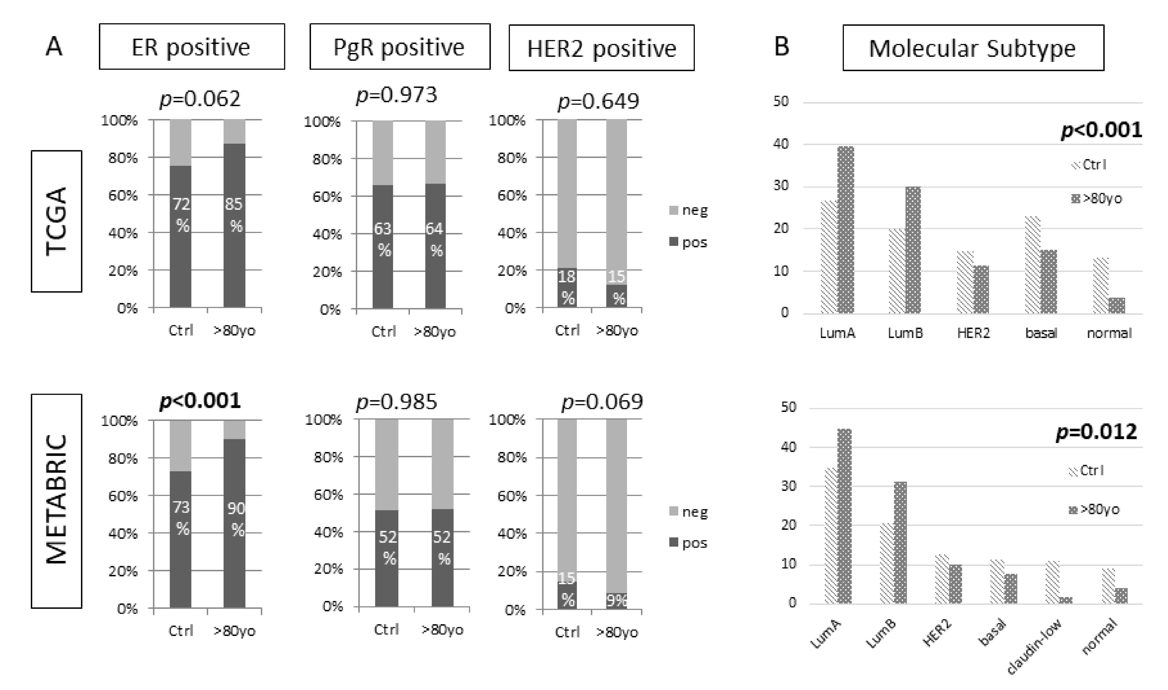 Cancers 13 02933 g001