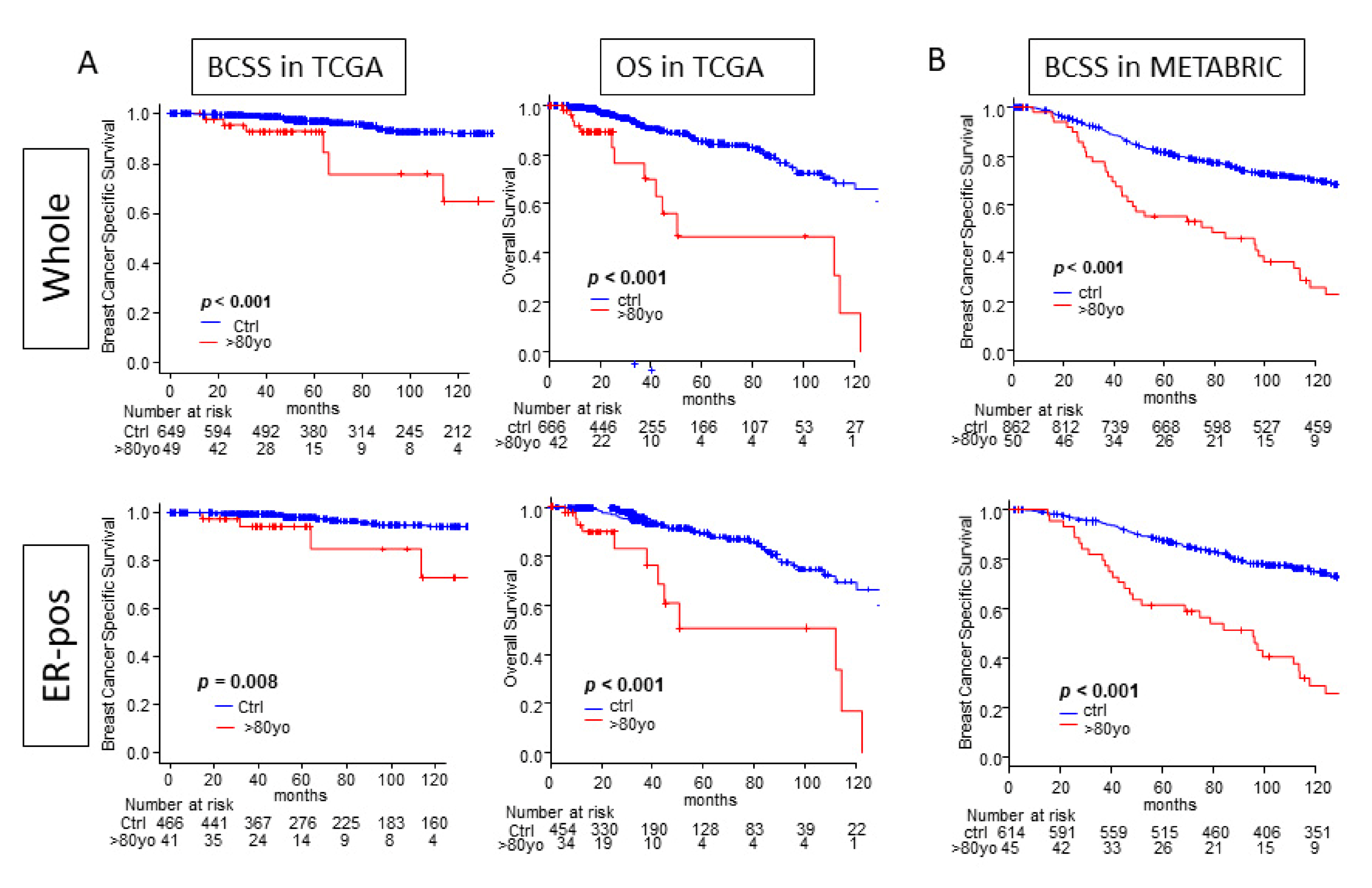 Cancers 13 02933 g002