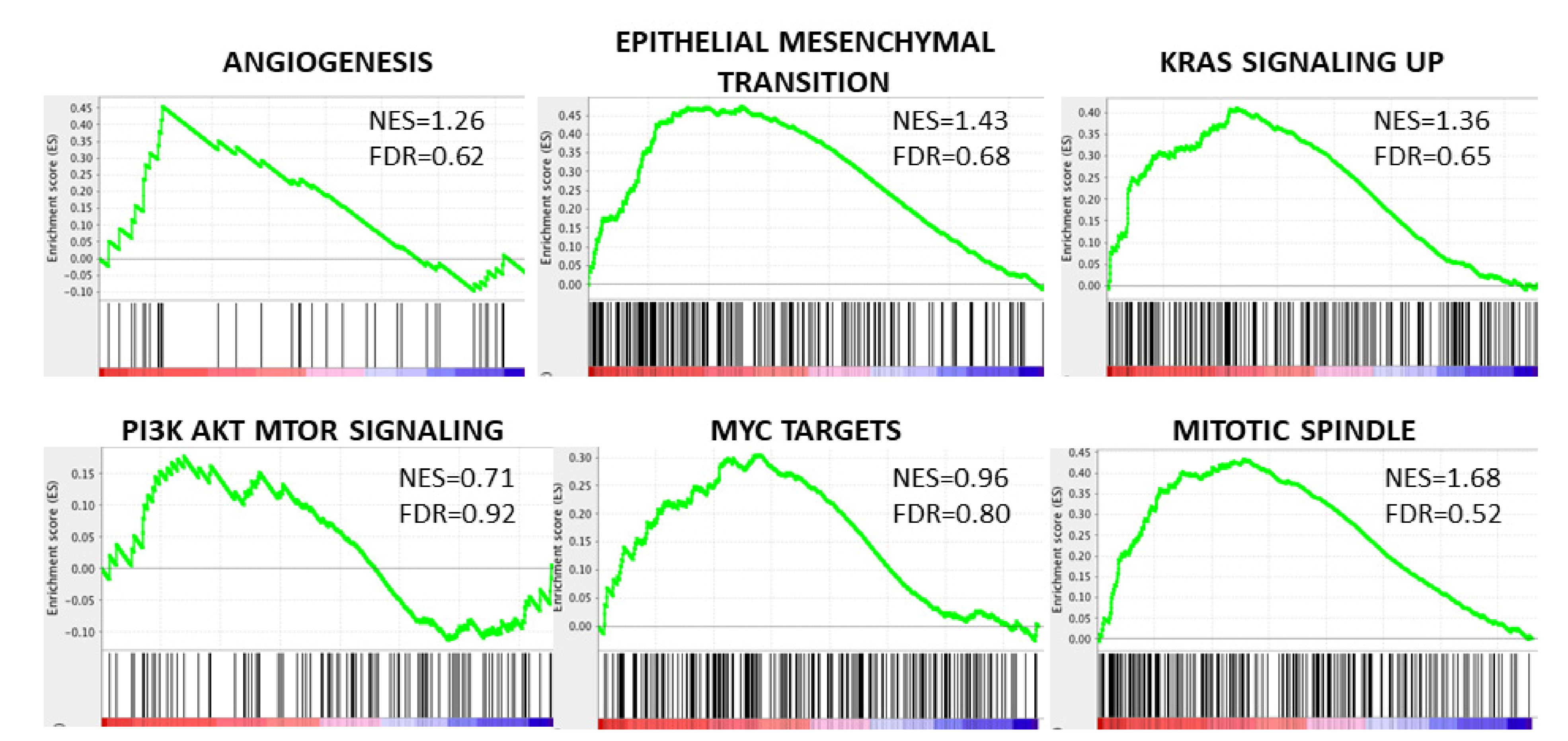 Cancers 13 02933 g004