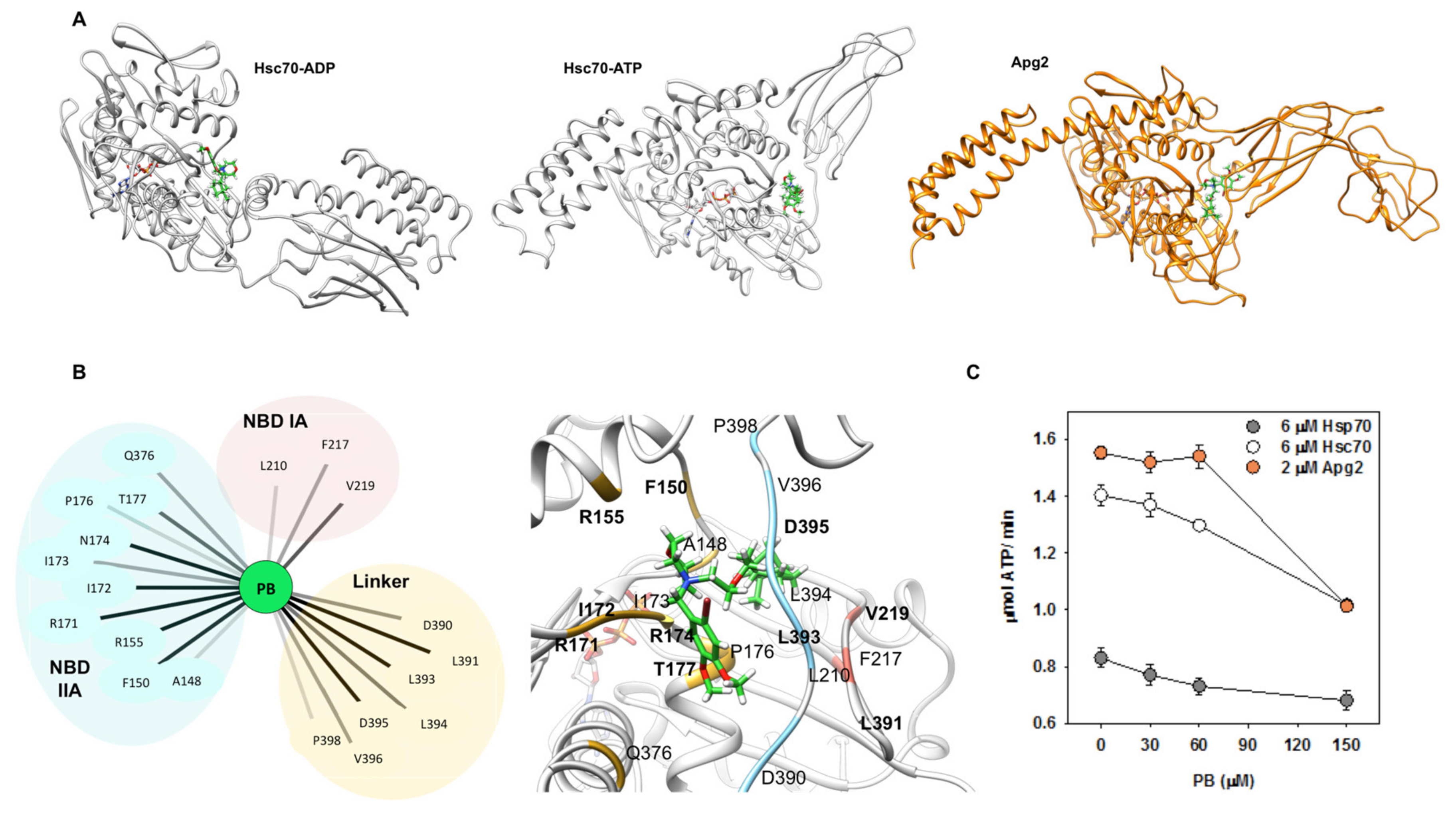 Cancers 13 02936 g007