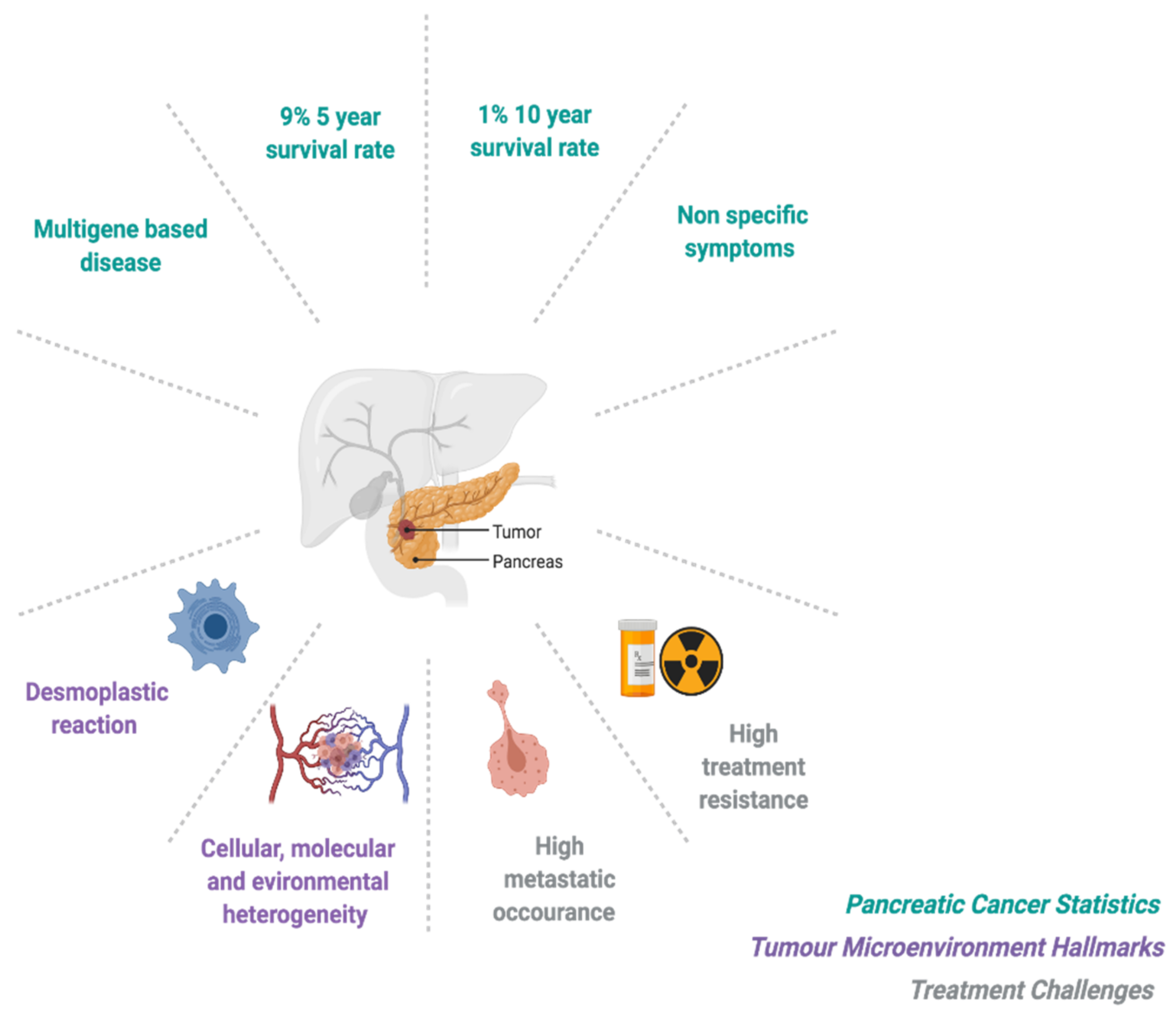 Cancers 13 02940 g001