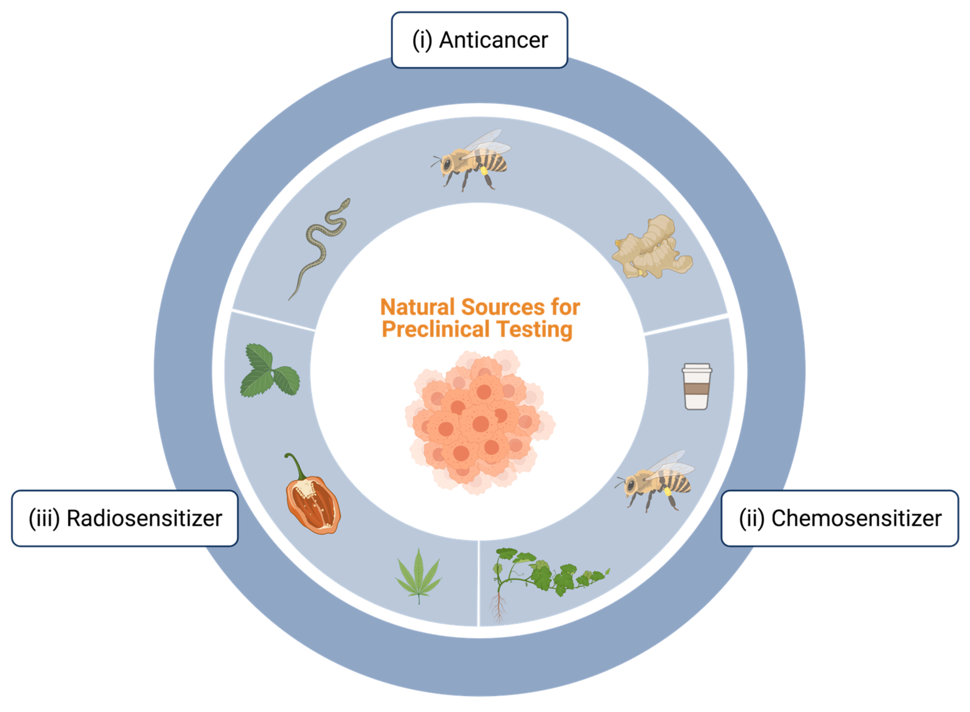 Cancers 13 02940 g002
