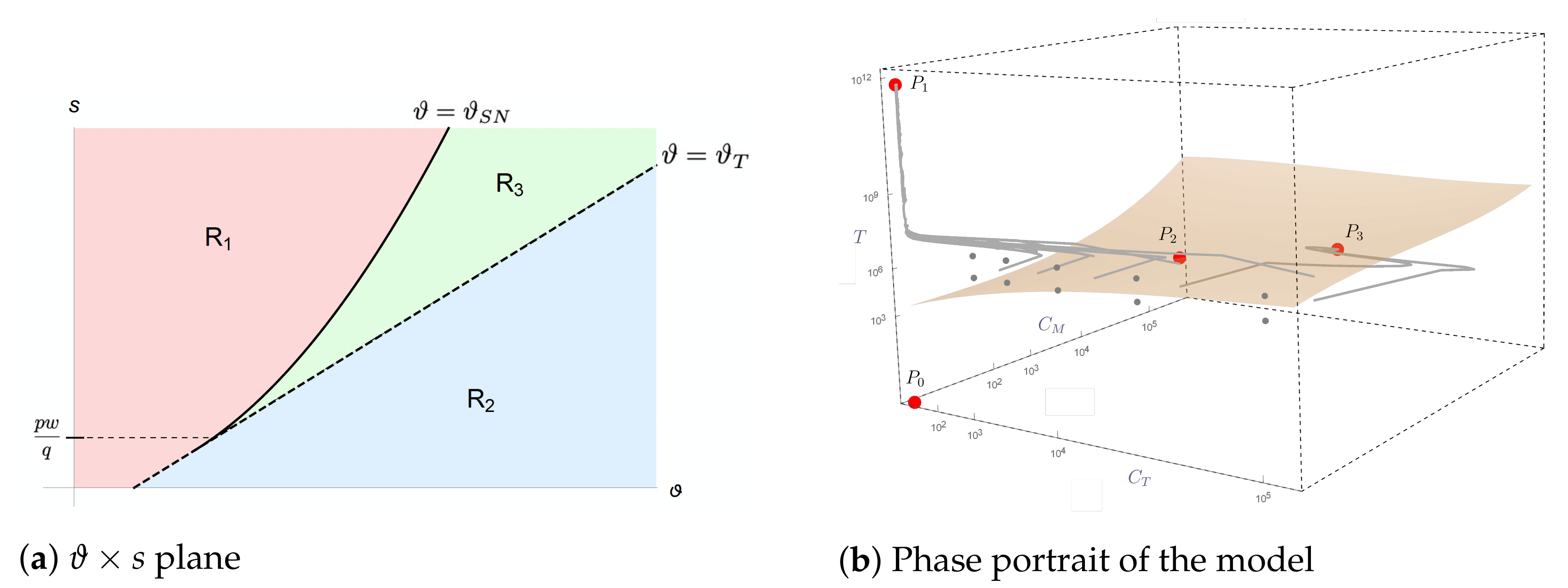 Cancers 13 02941 g002