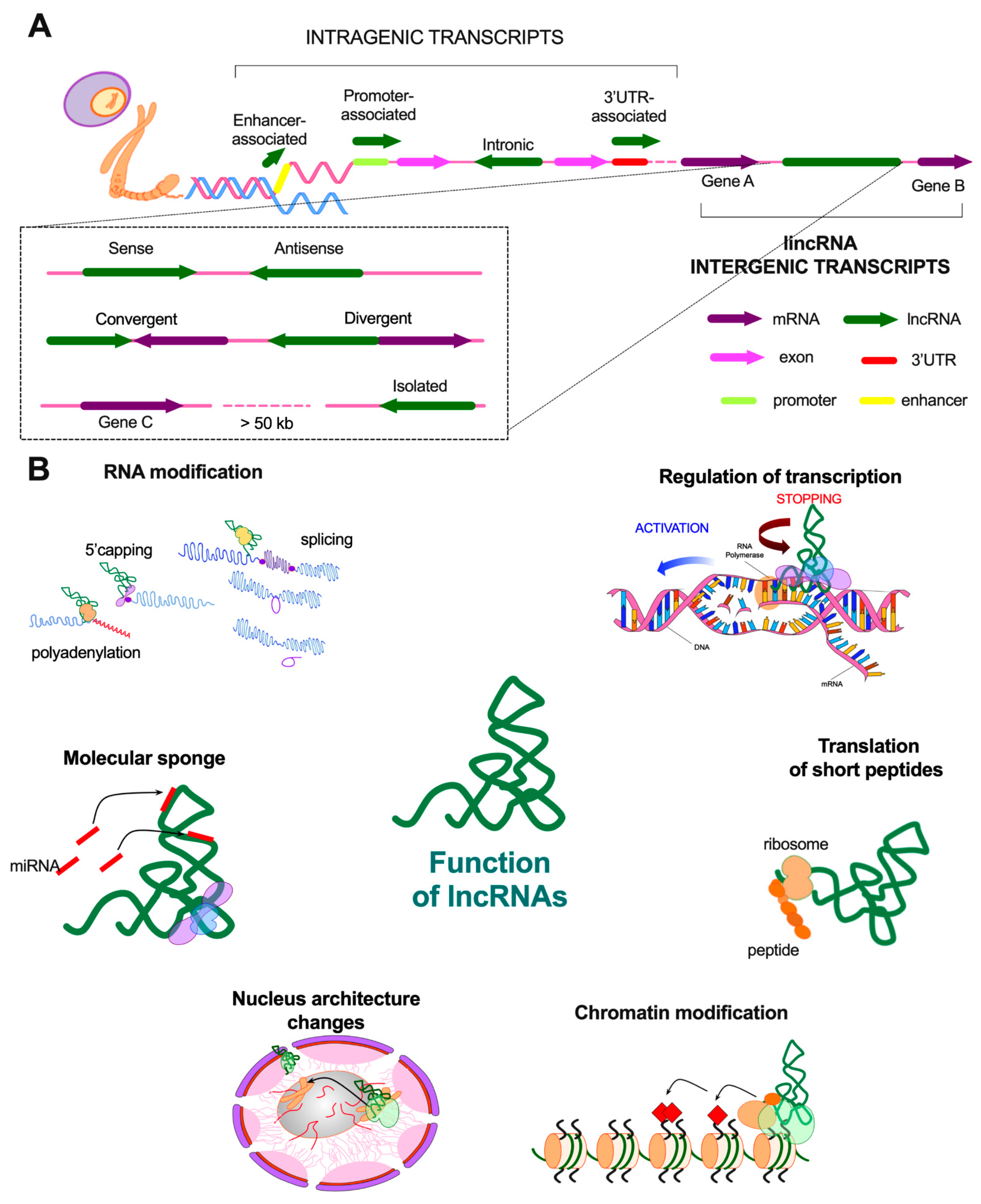 Cancers 13 02949 g001