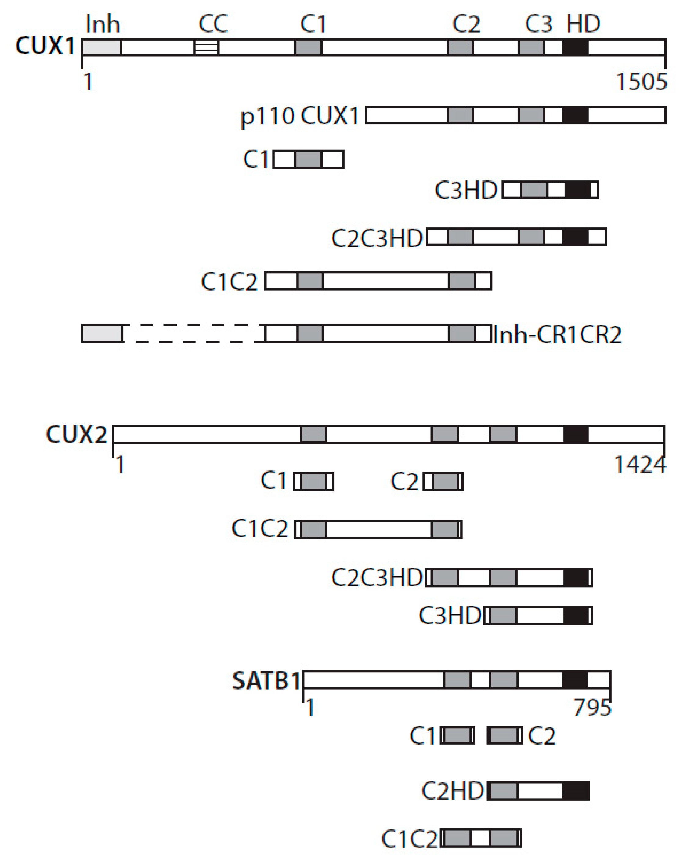 Cancers 13 02953 g001 Cancers 13 02953 g001