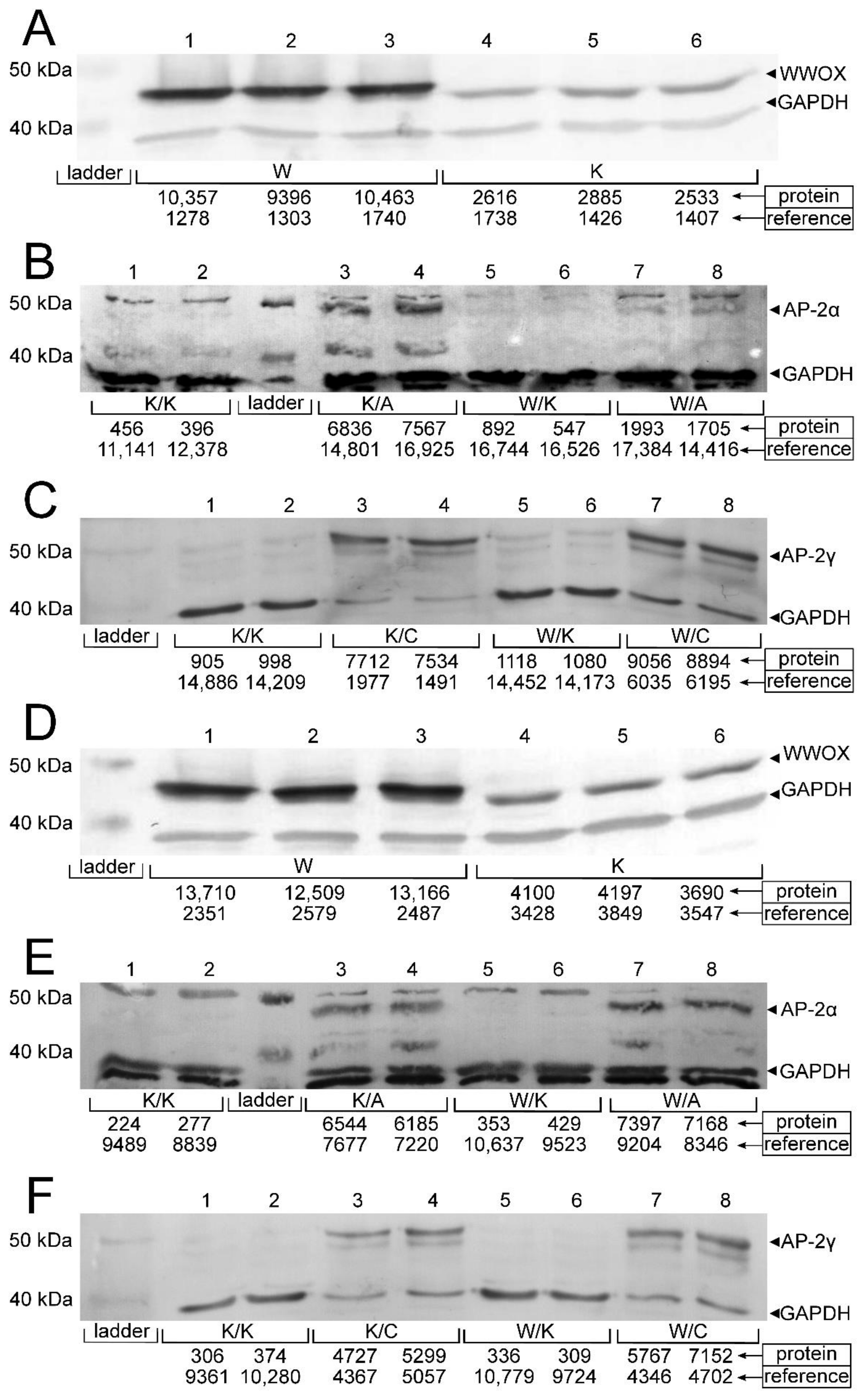 Cancers 13 02957 g002