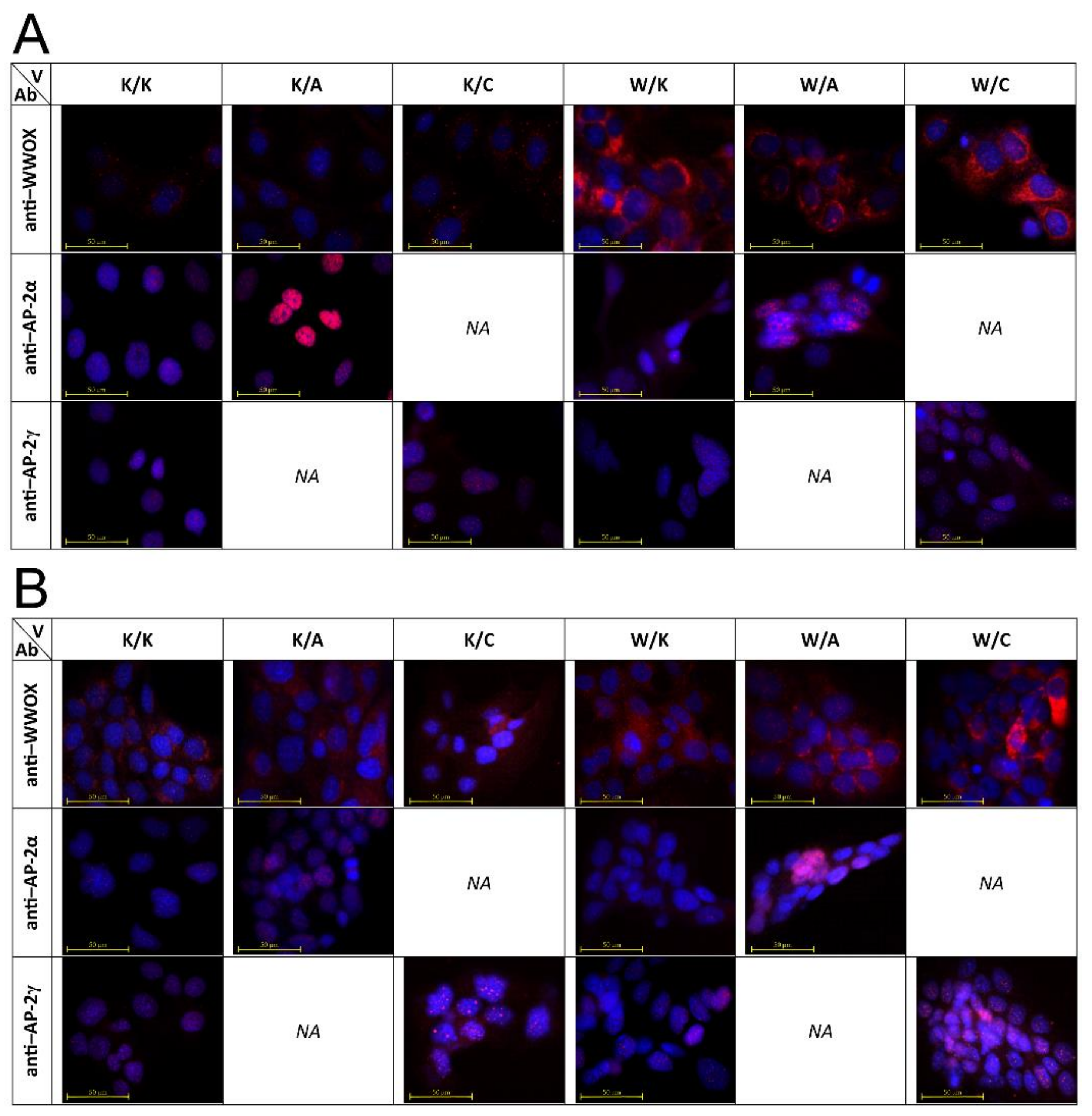 Cancers 13 02957 g003