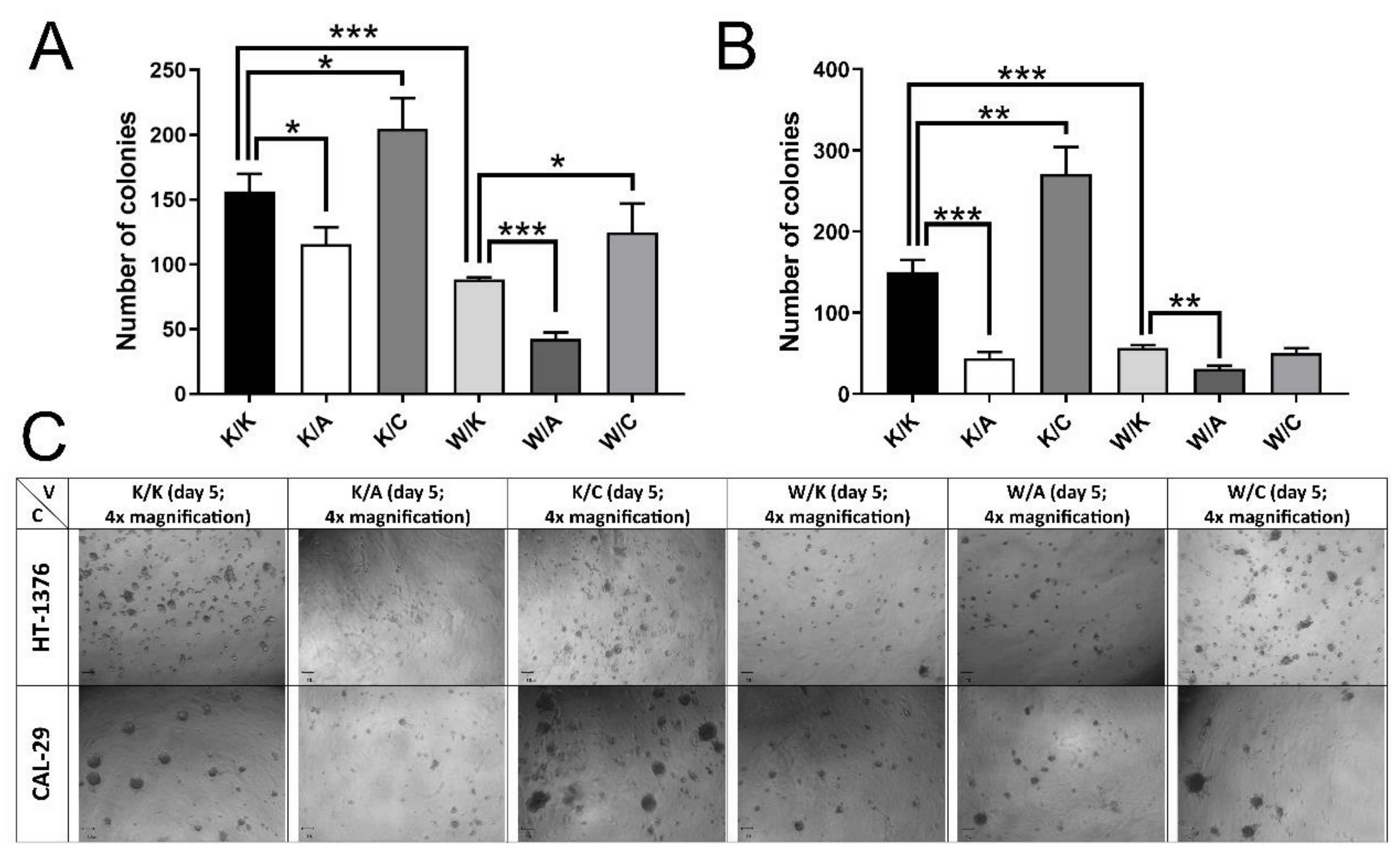 Cancers 13 02957 g007