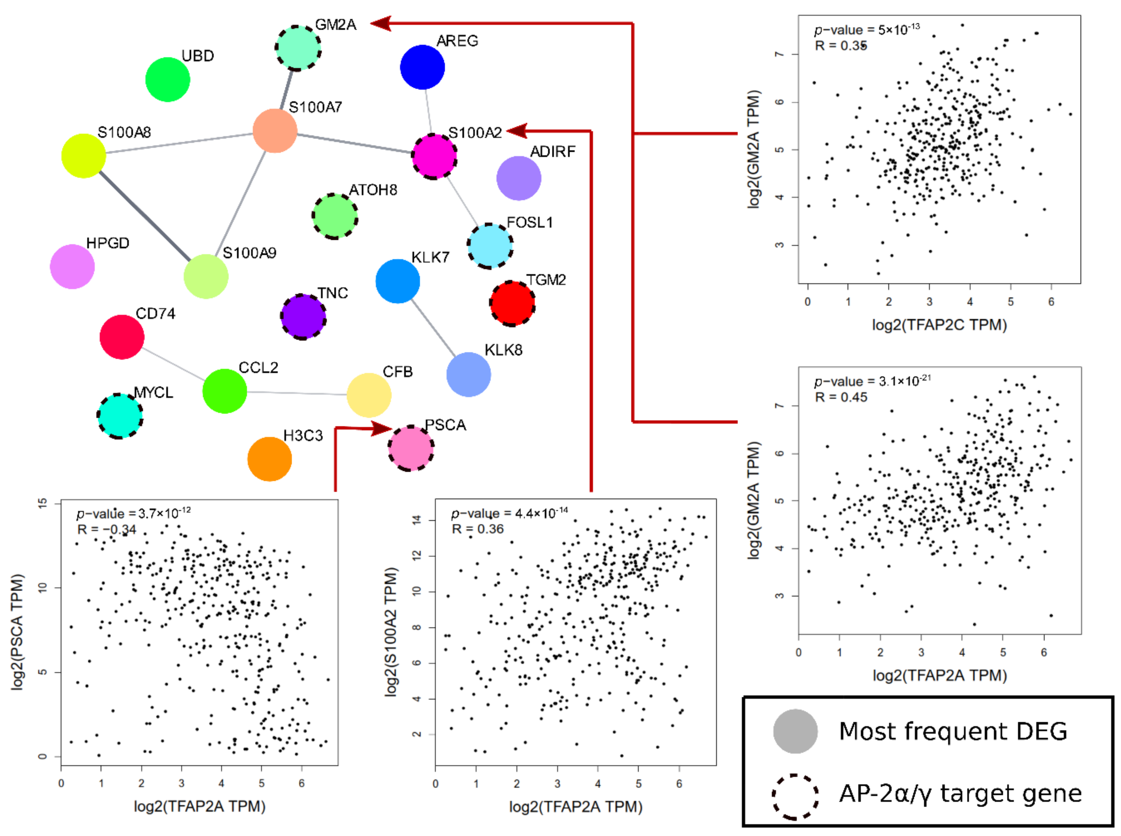 Cancers 13 02957 g010