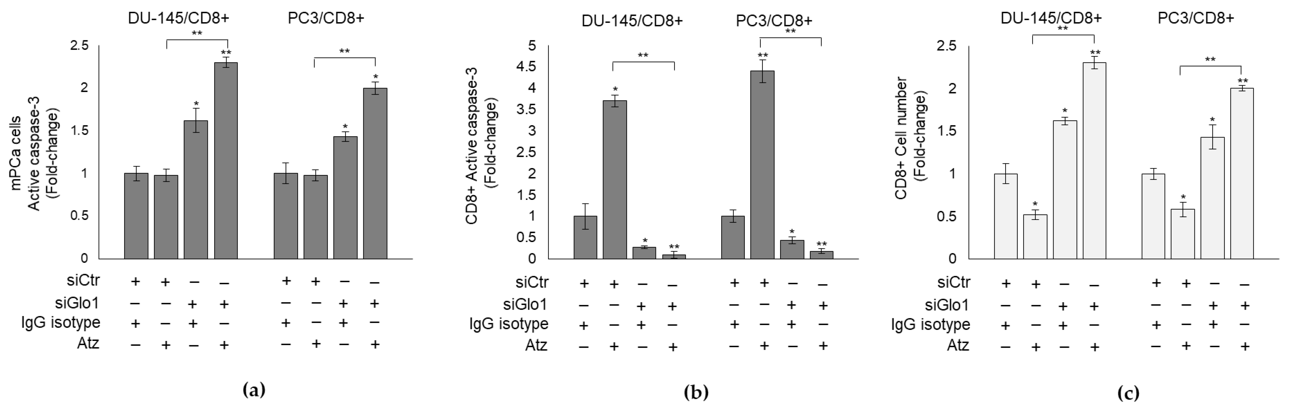 Cancers 13 02965 g008