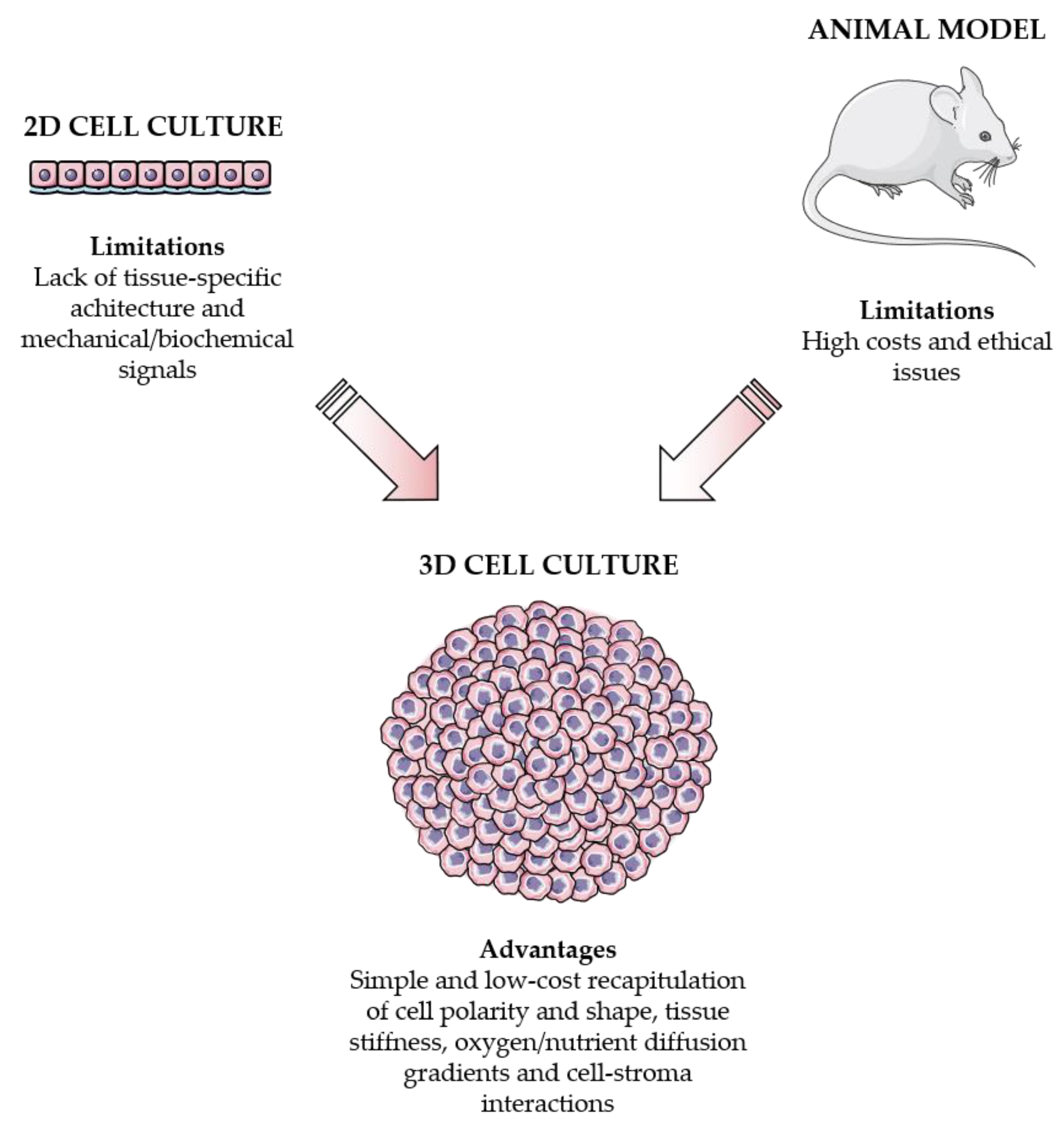 Cancers 13 02970 g001 Cancers 13 02970 g001