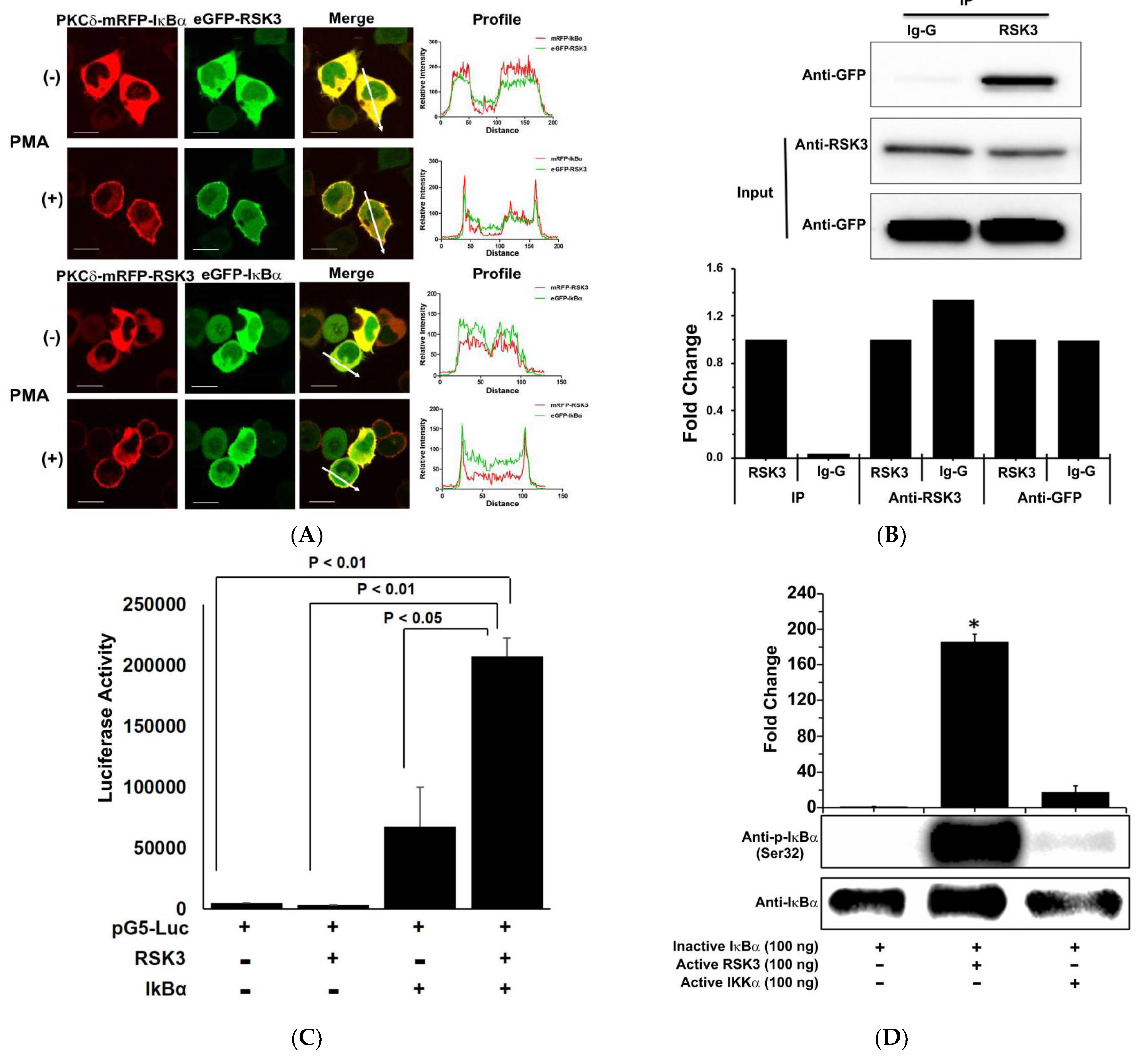Cancers 13 02973 g001