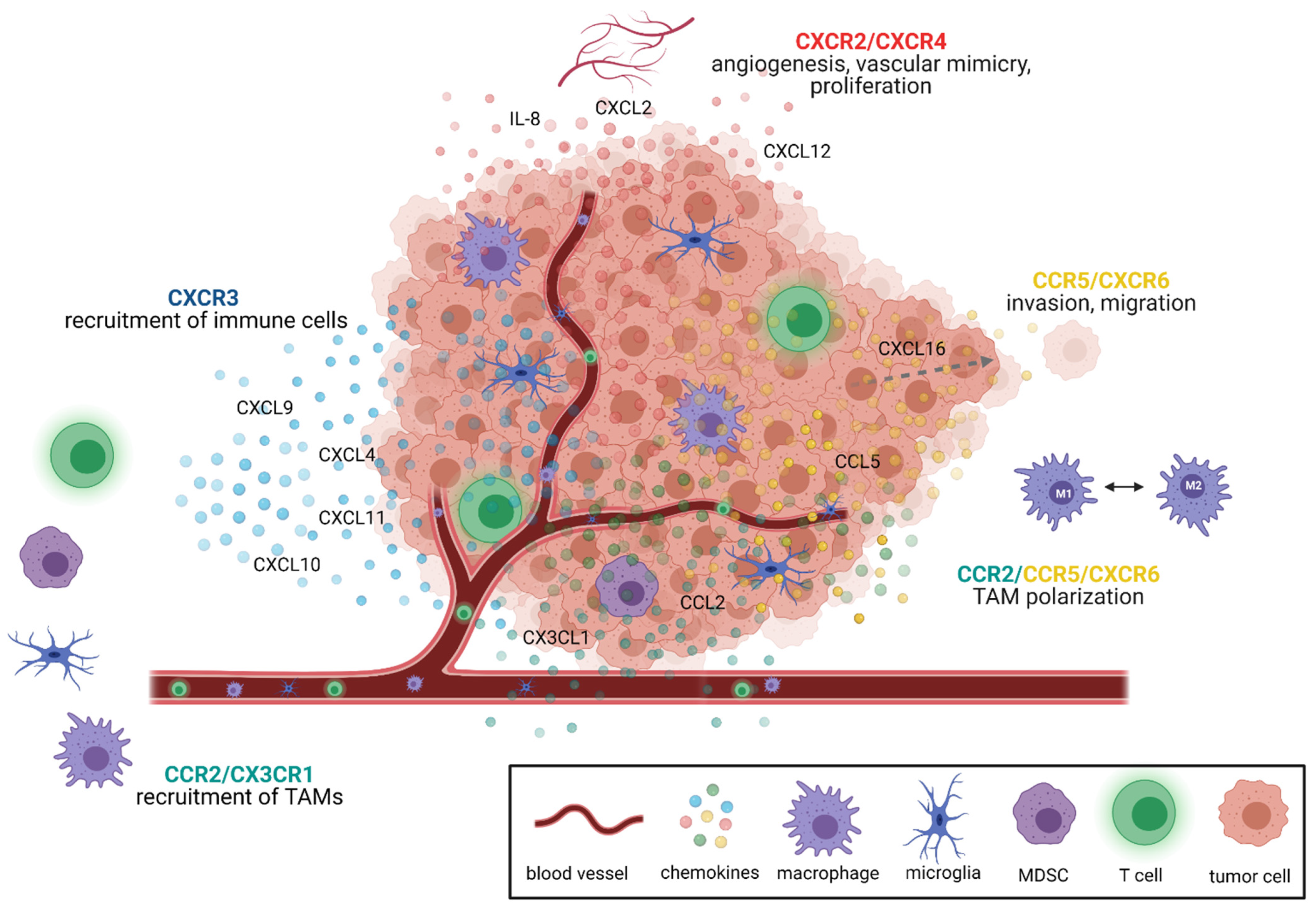 Cancers 13 02983 g001