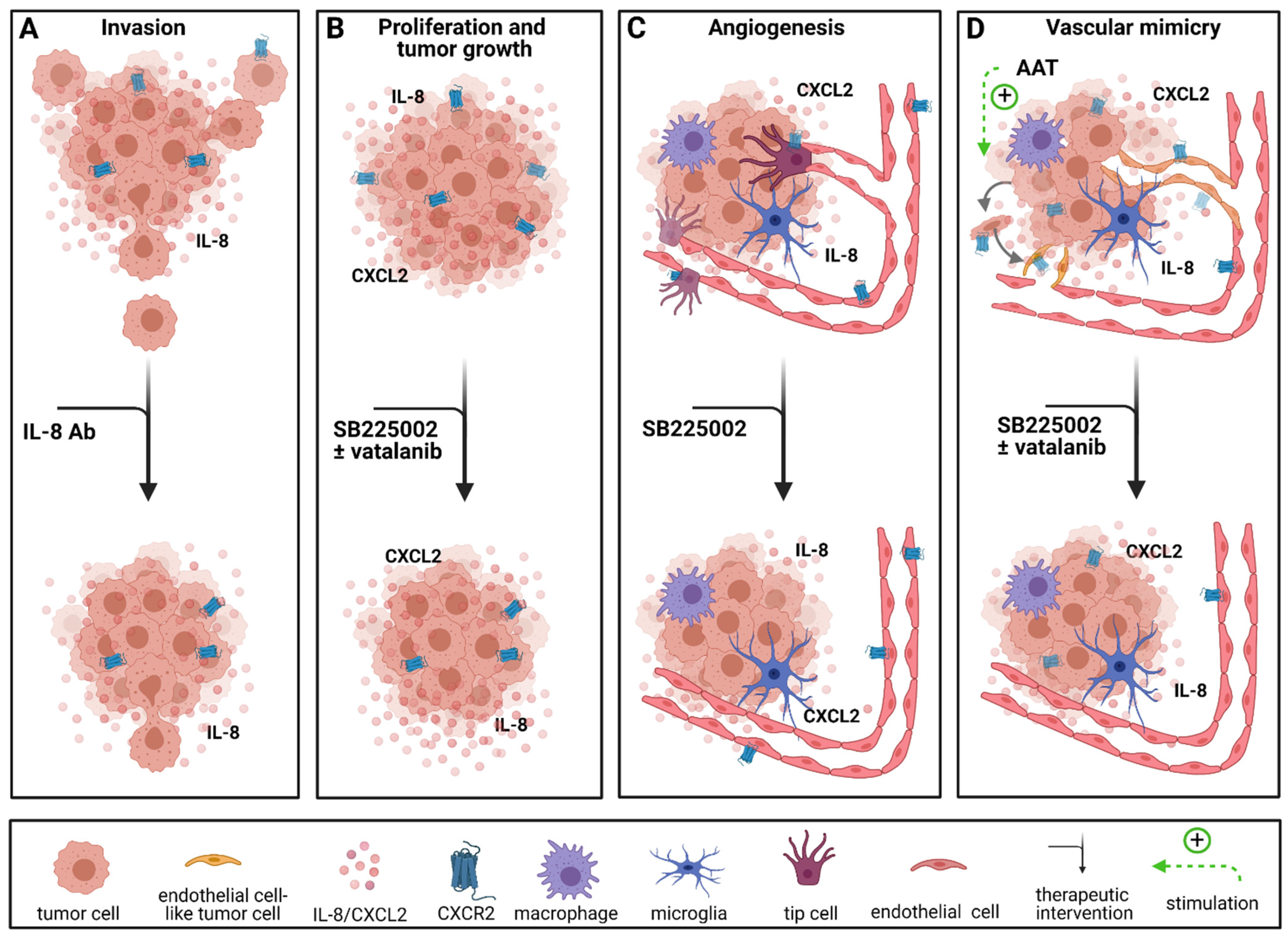 Cancers 13 02983 g003