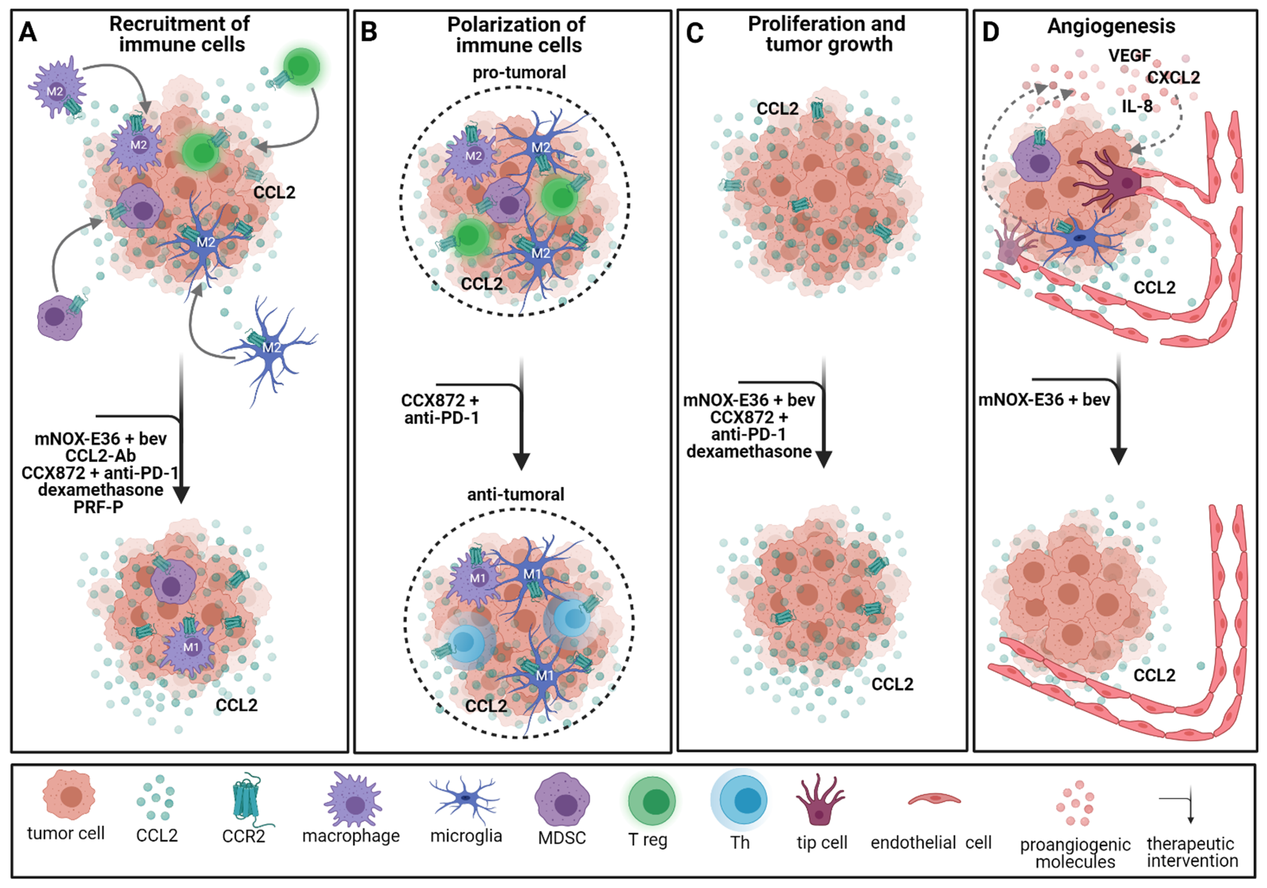 Cancers 13 02983 g004