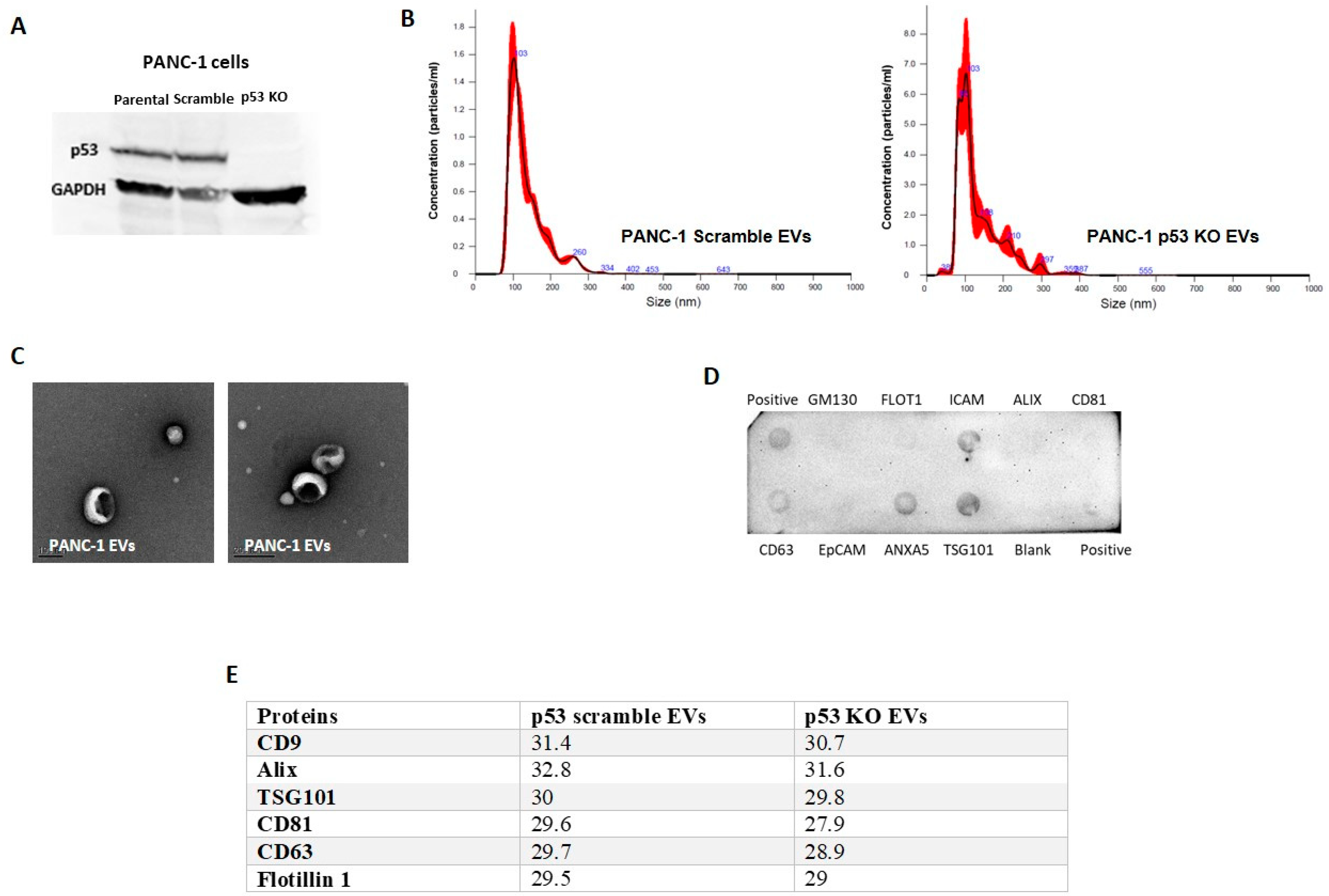 Cancers 13 02985 g001