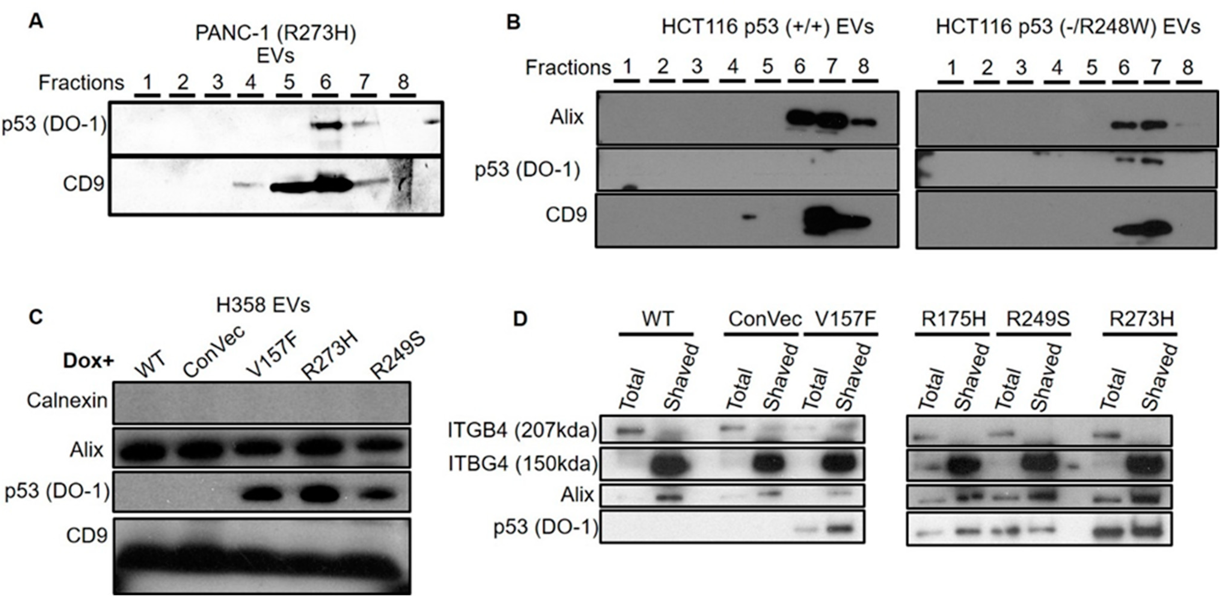 Cancers 13 02985 g002