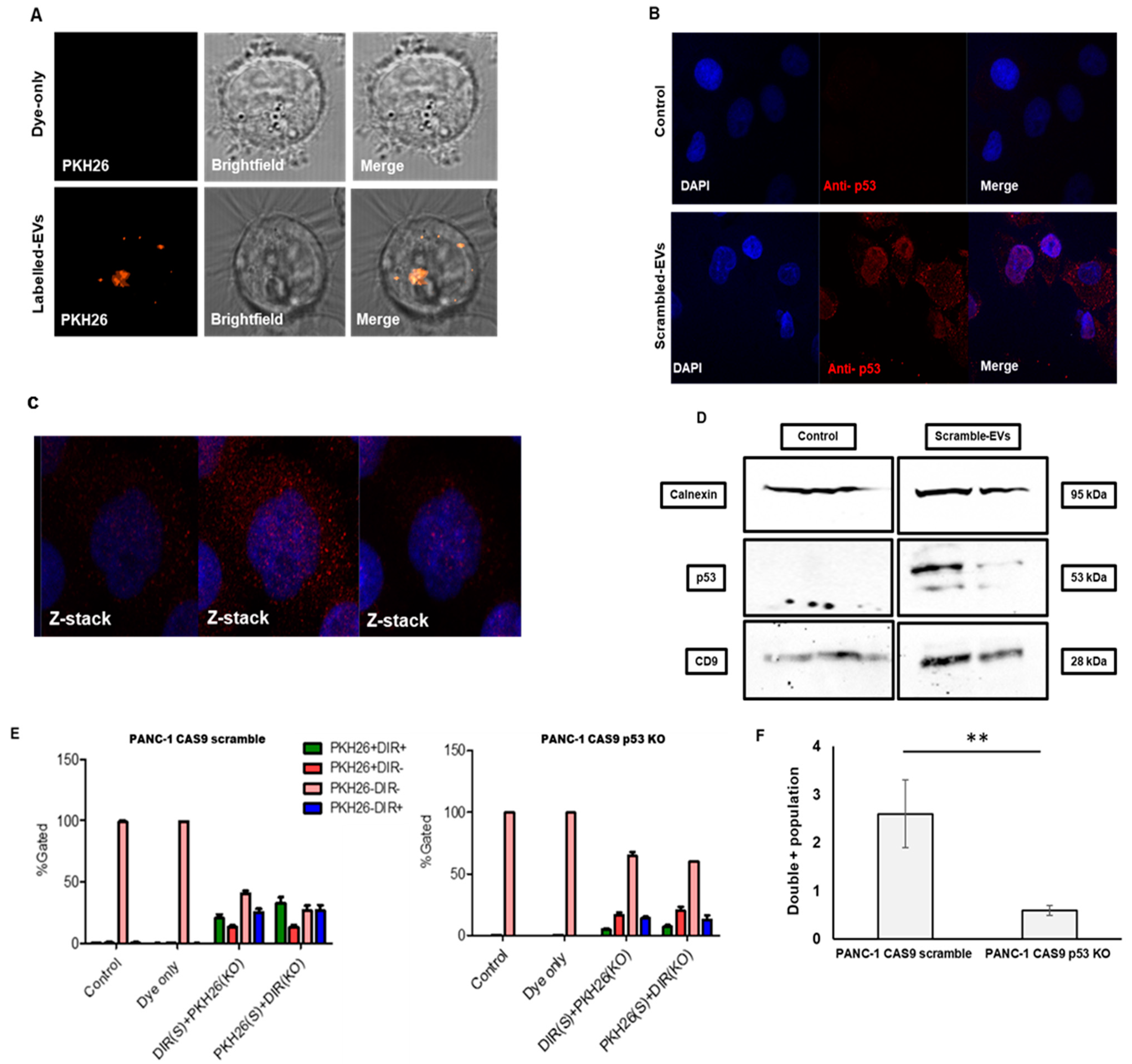 Cancers 13 02985 g003