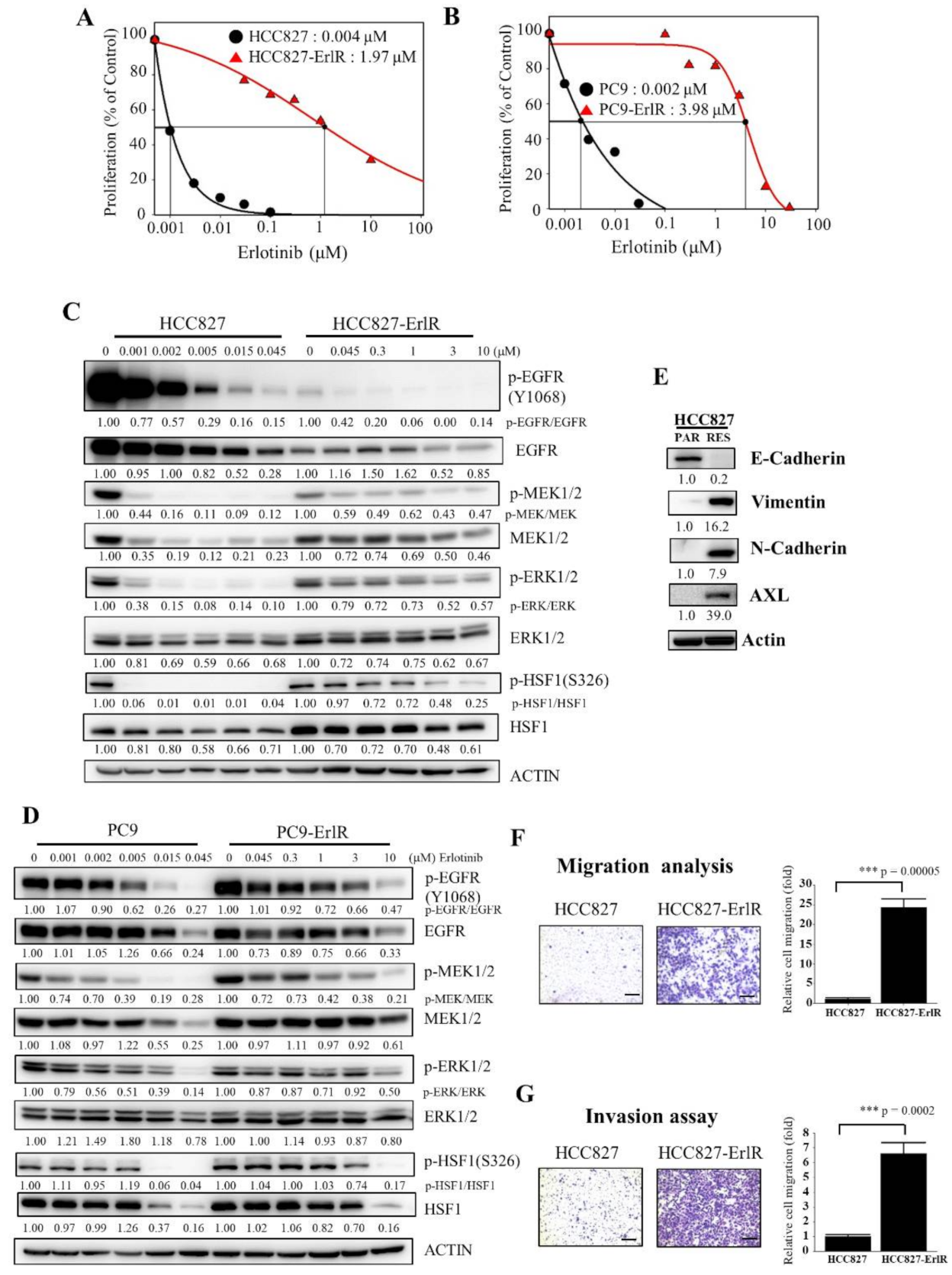 Cancers 13 02987 g001