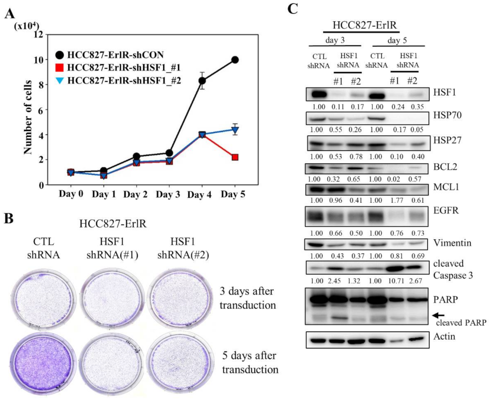 Cancers 13 02987 g003