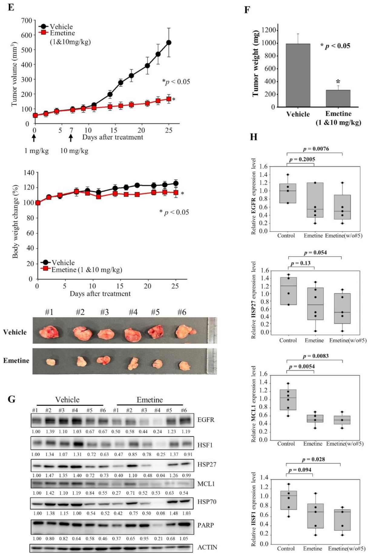 Cancers 13 02987 g006b