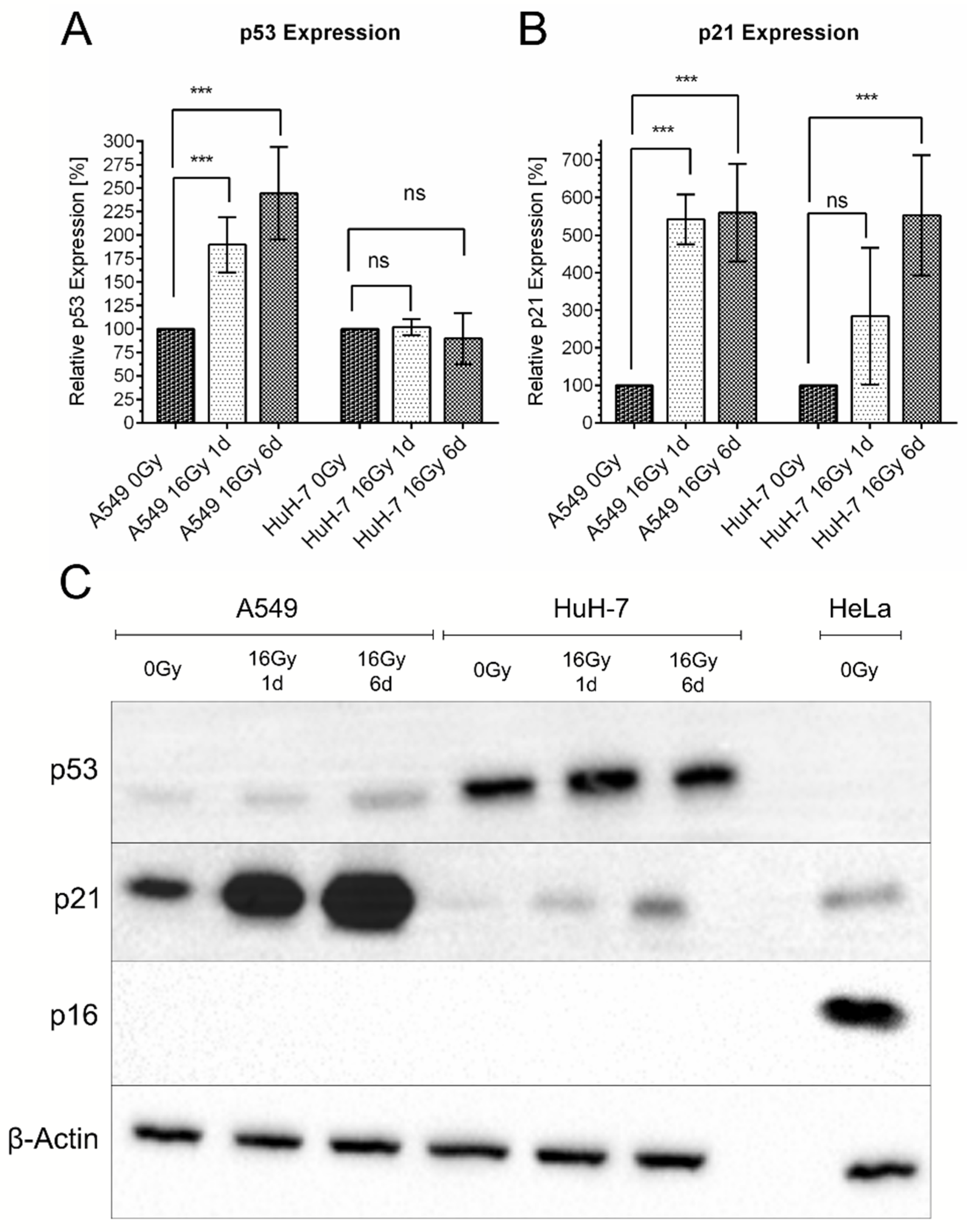 Cancers 13 02989 g008