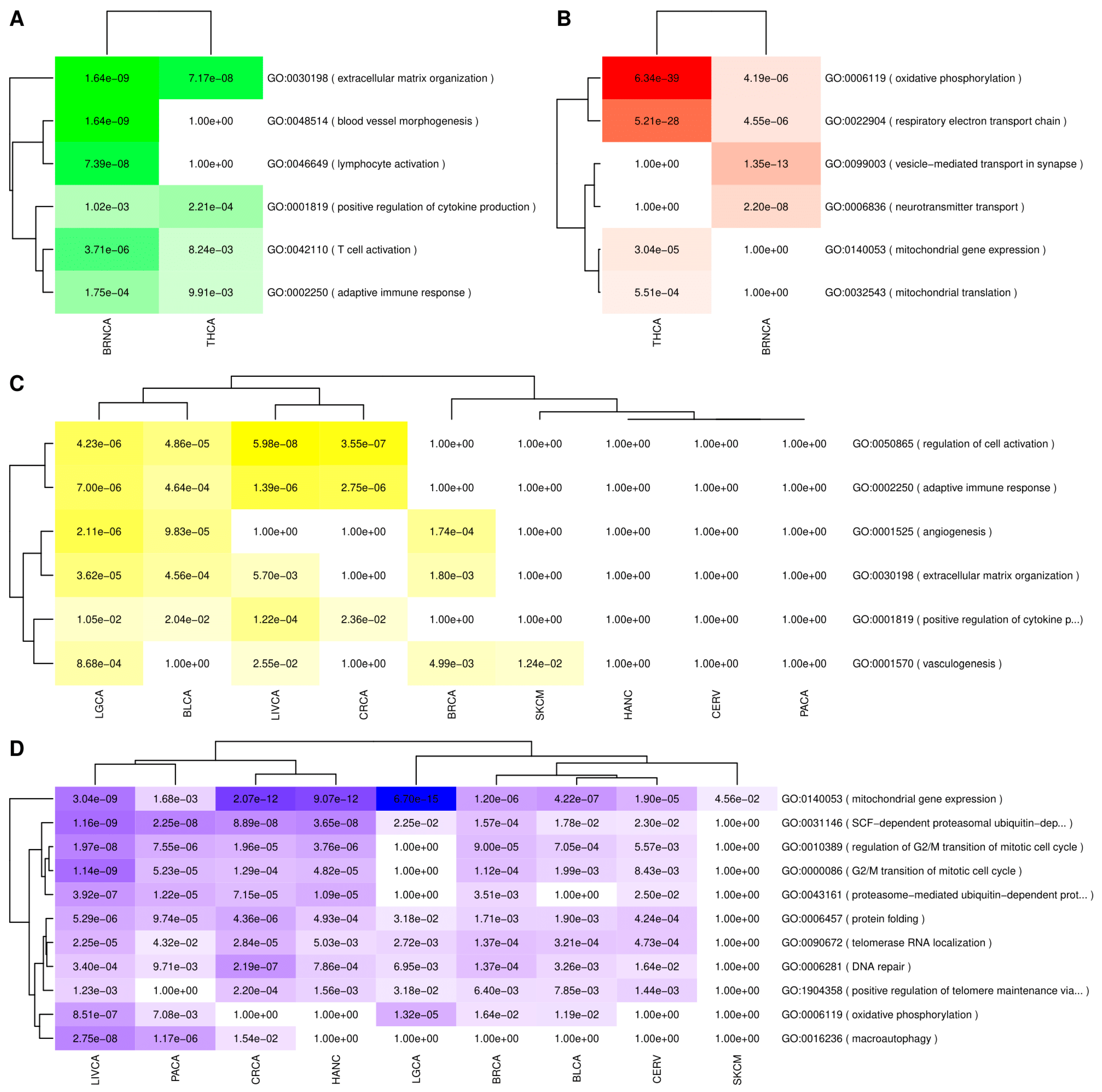 Cancers 13 02990 g002