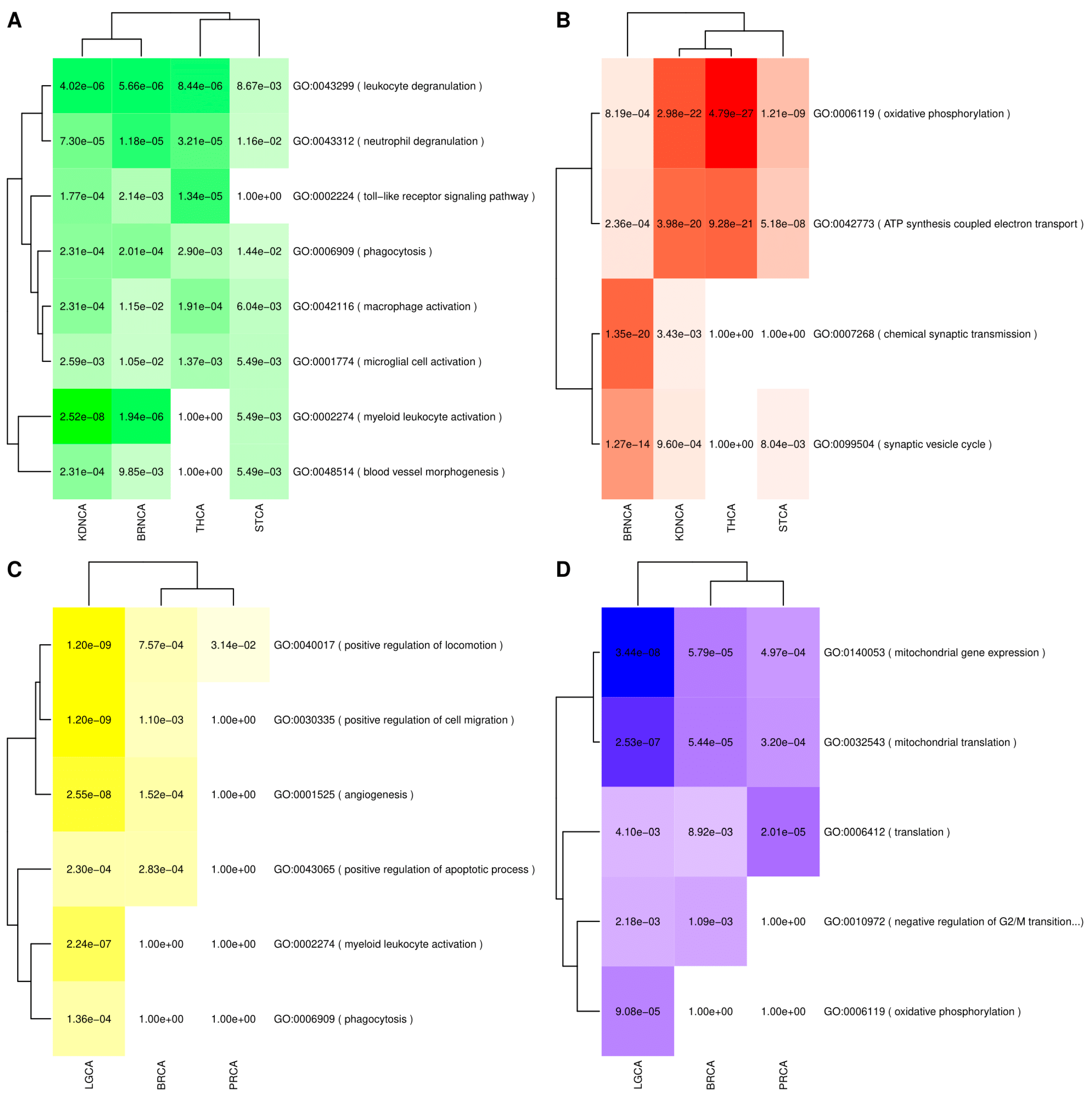 Cancers 13 02990 g004