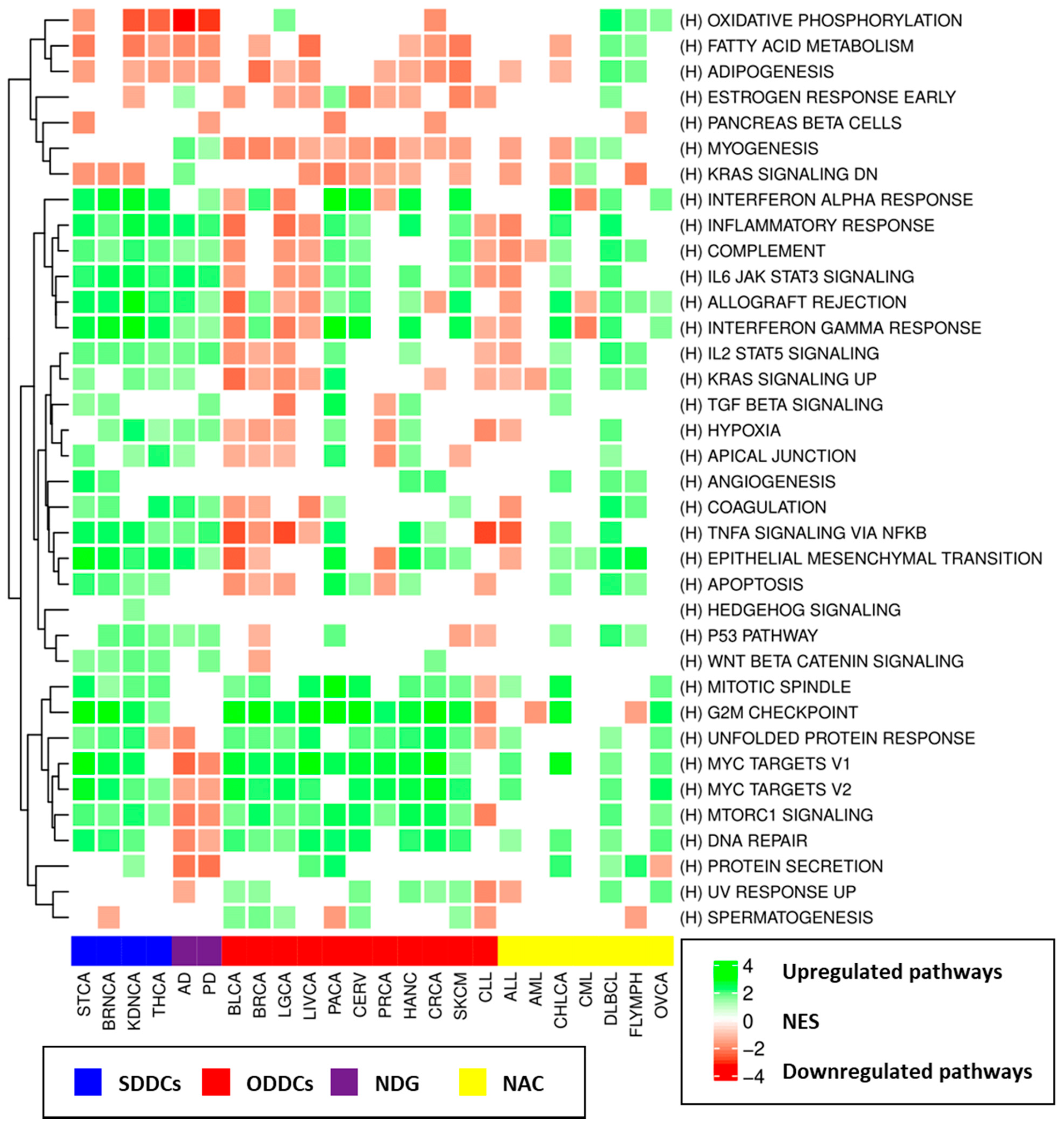 Cancers 13 02990 g005