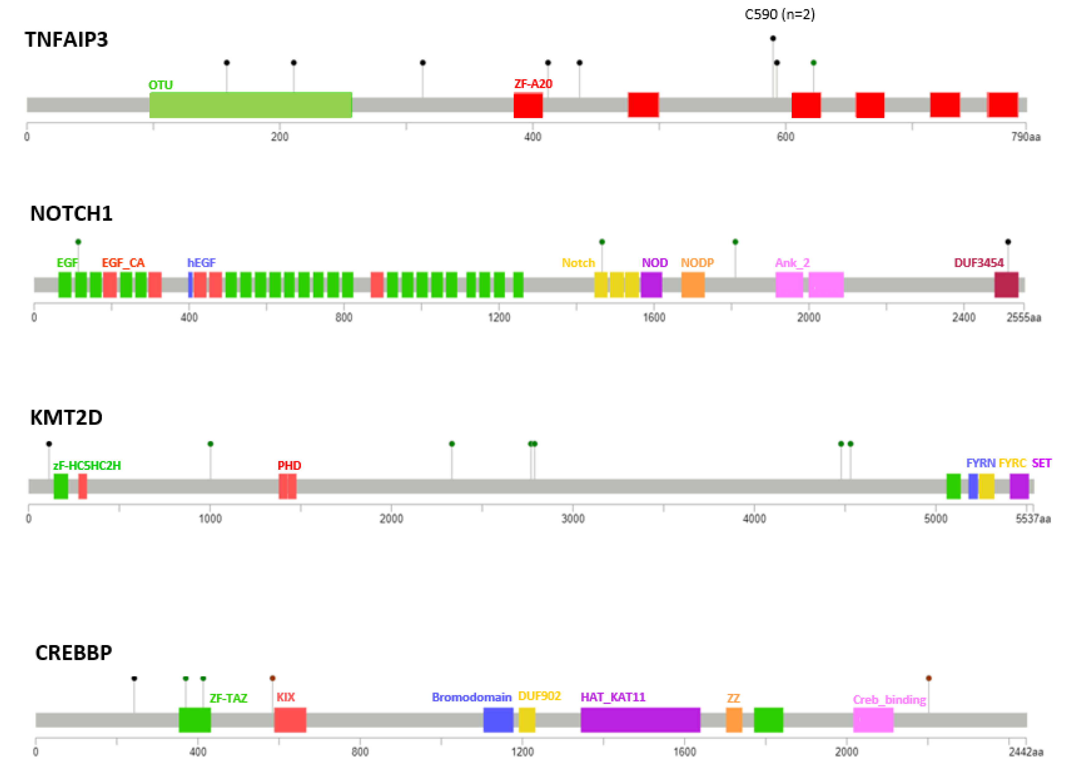 Cancers 13 02993 g002