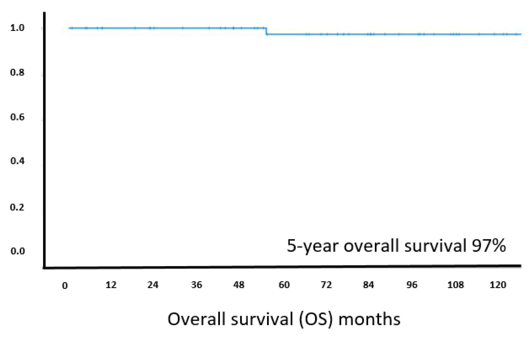 Cancers 13 02993 g005