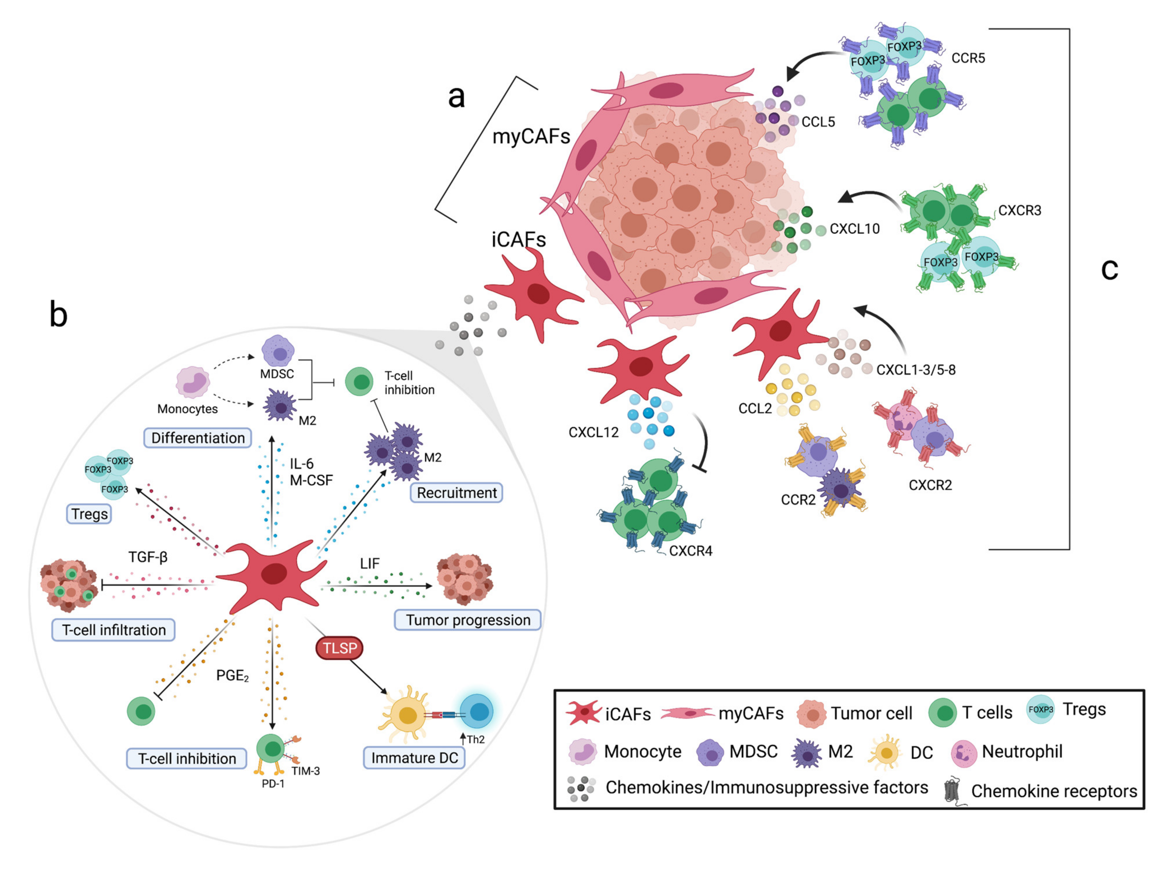 Cancers 13 02995 g001