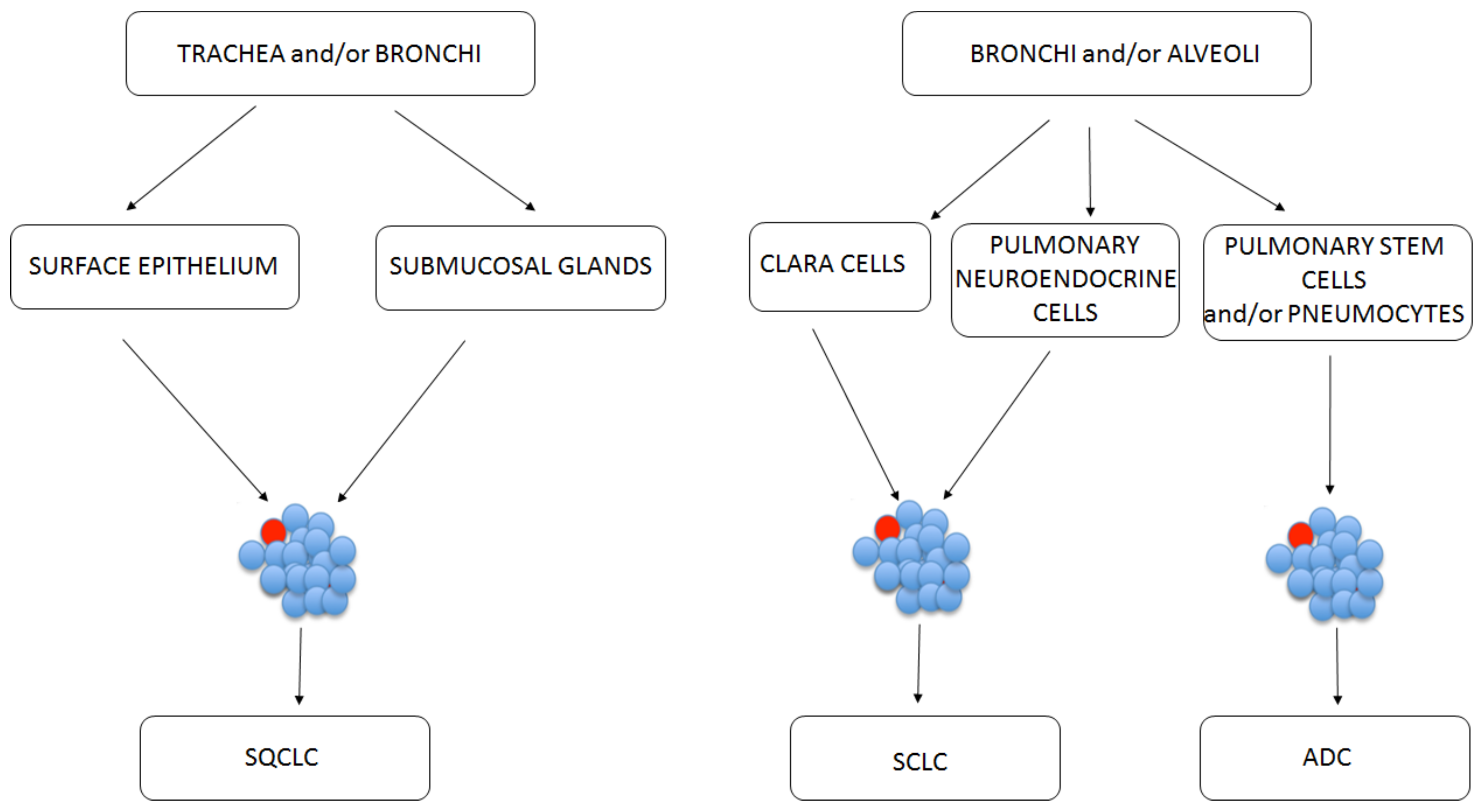 Cancers 13 02996 g002