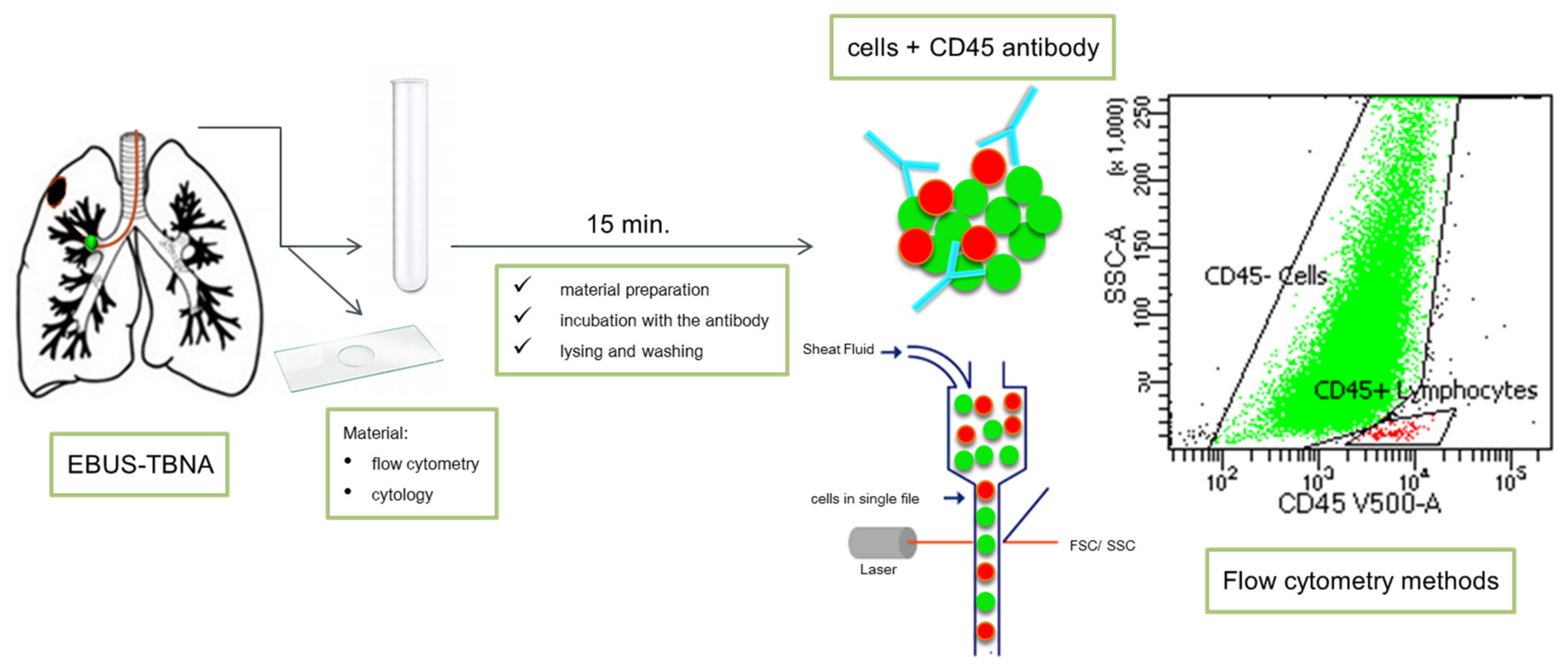 Cancers 13 02996 g003