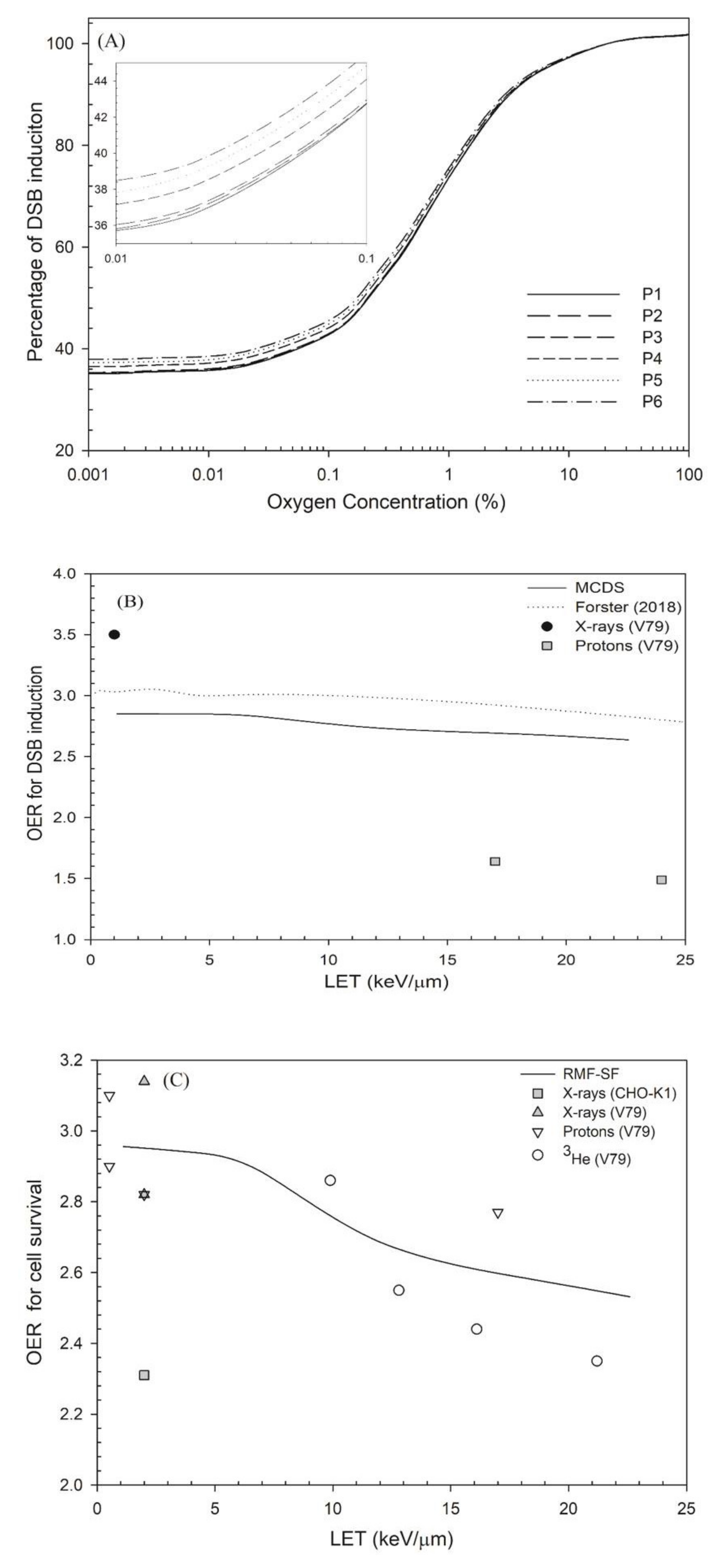 Cancers 13 02997 g002